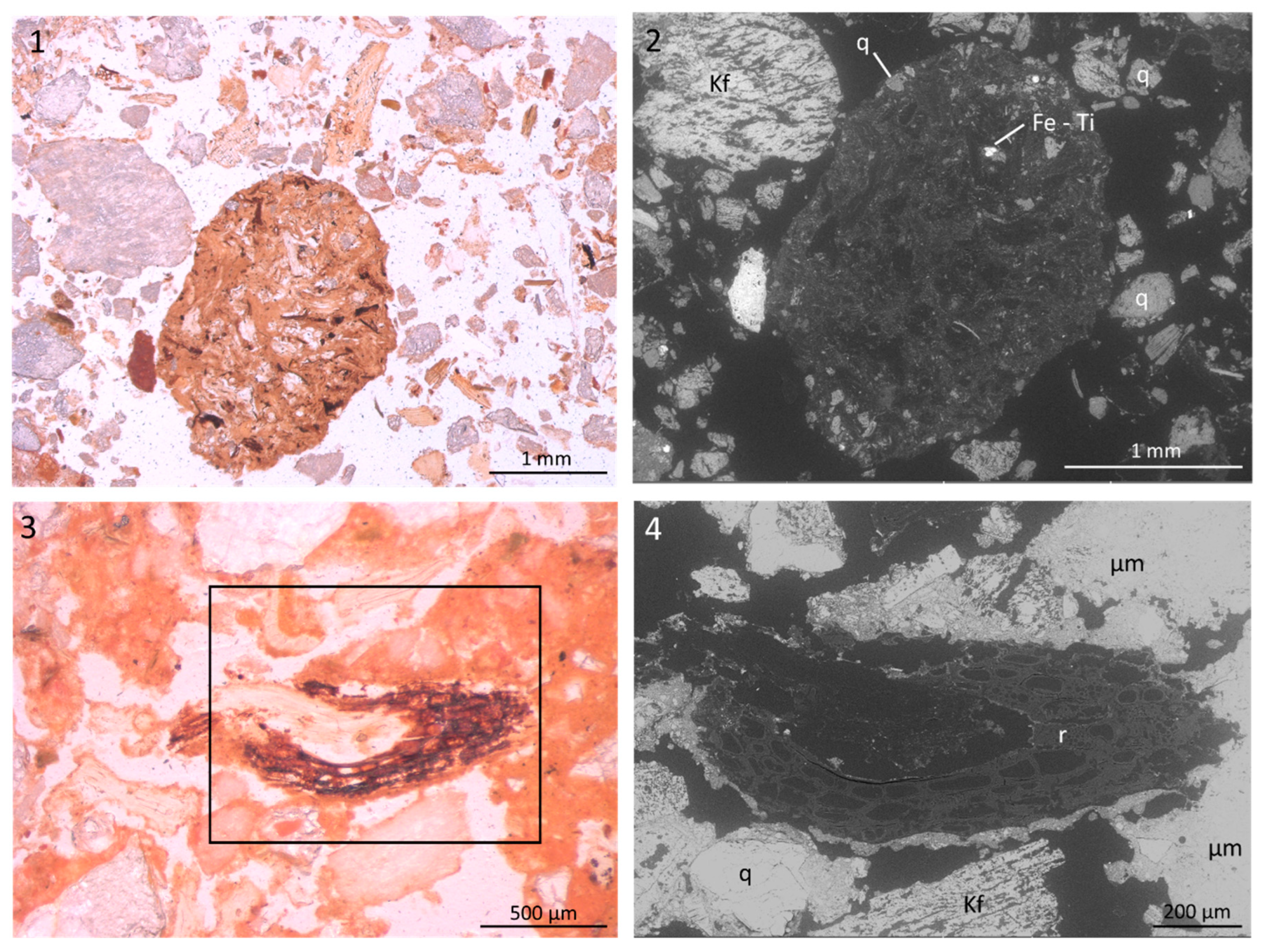 Minerals 15 00514 g008