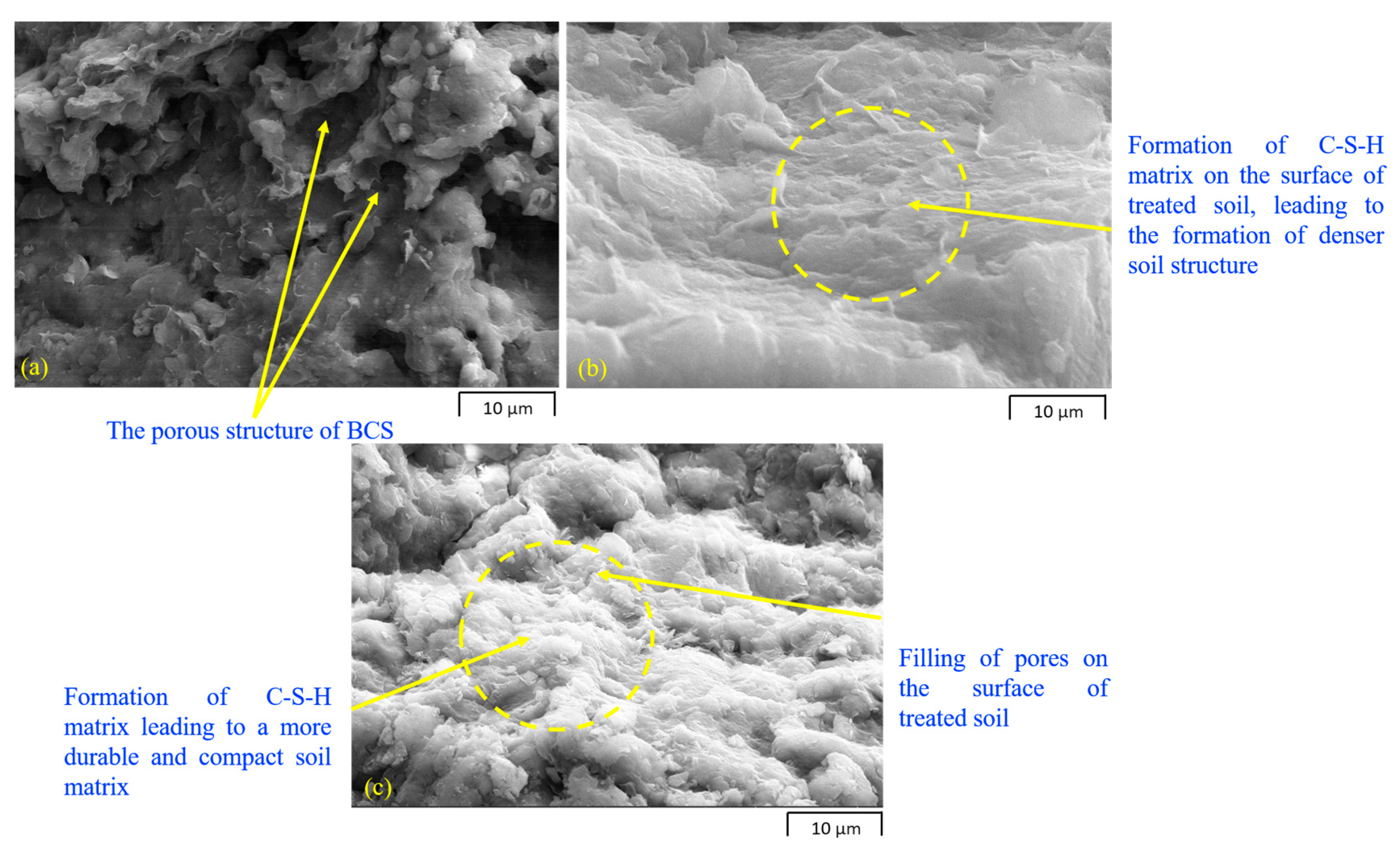 Minerals 15 00516 g003