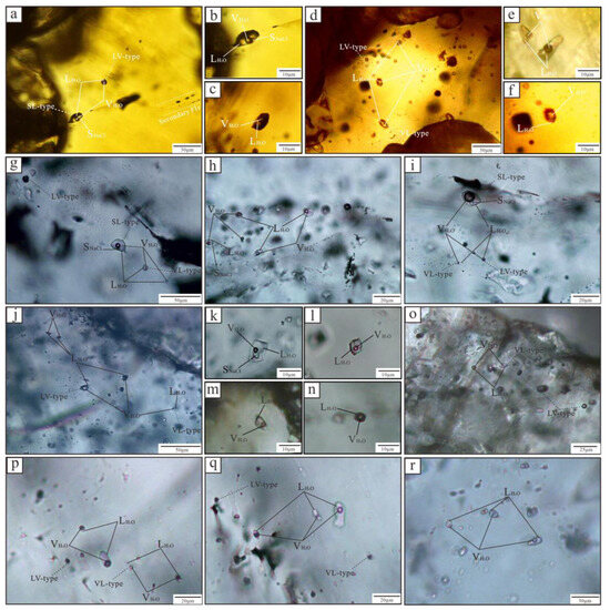 Ore Genesis of the Huanggang Iron-Tin-Polymetallic Deposit