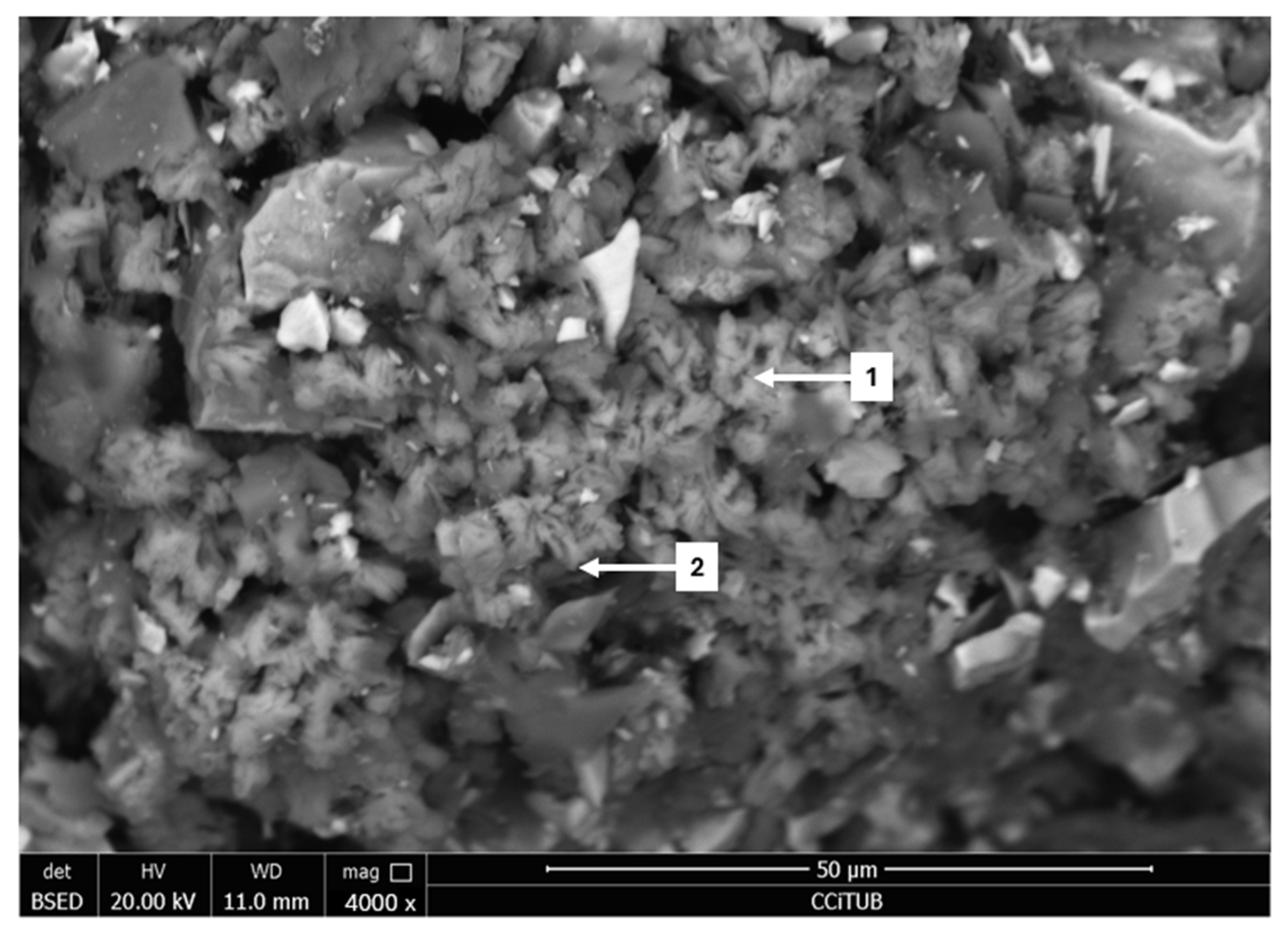 Minerals 15 00520 g006 Minerals 15 00520 g006