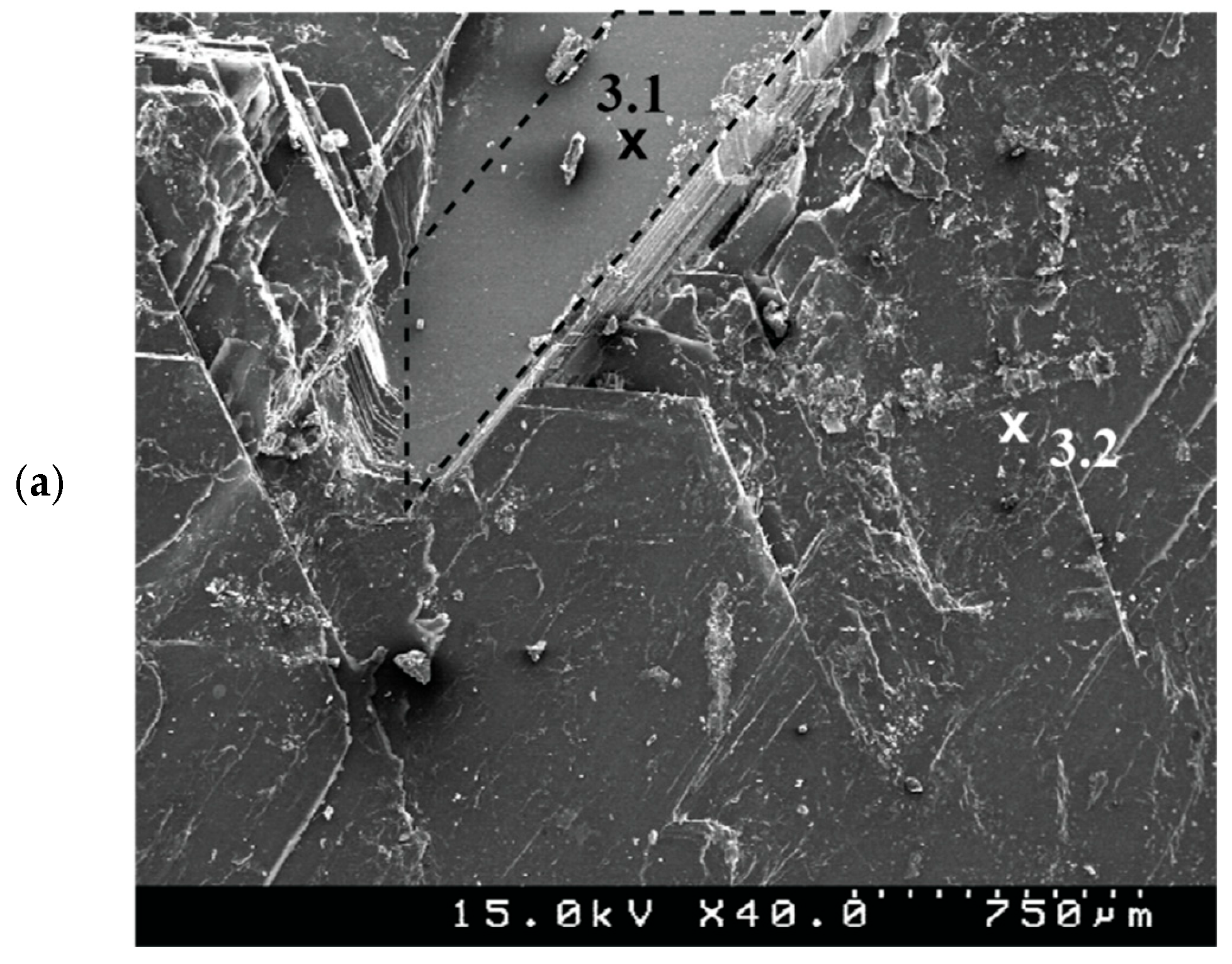 Minerals 15 00527 g005a