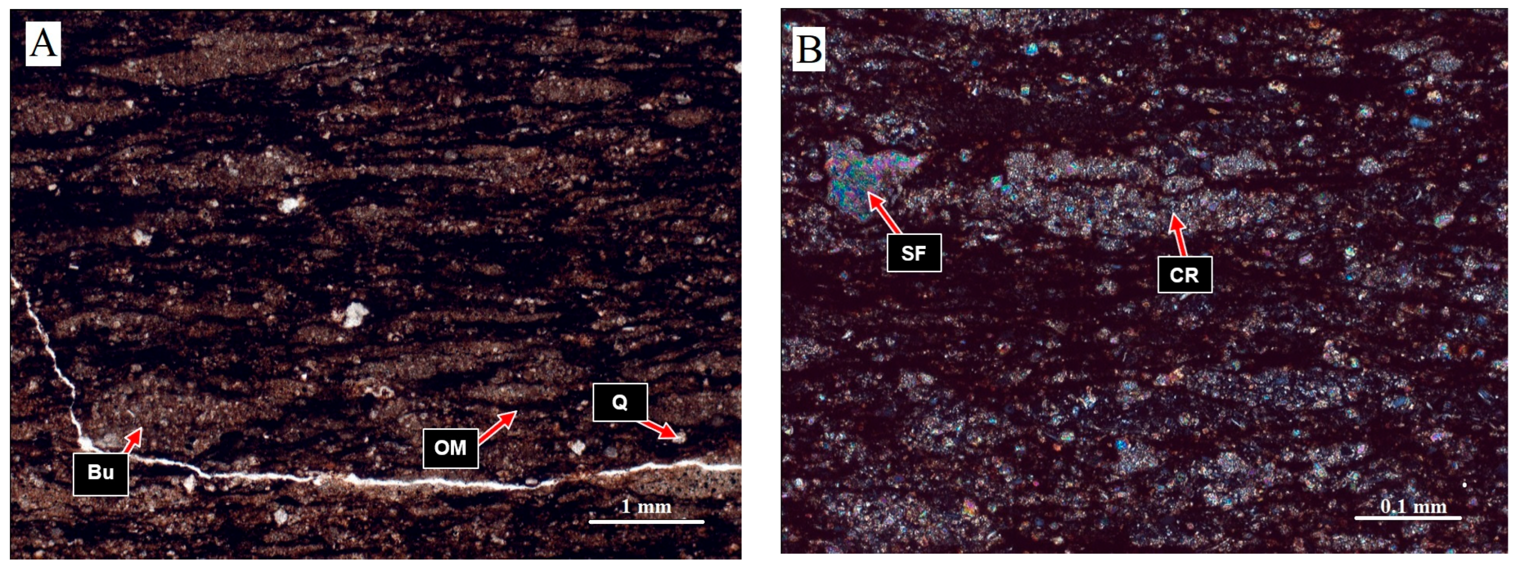 Minerals 15 00539 g004