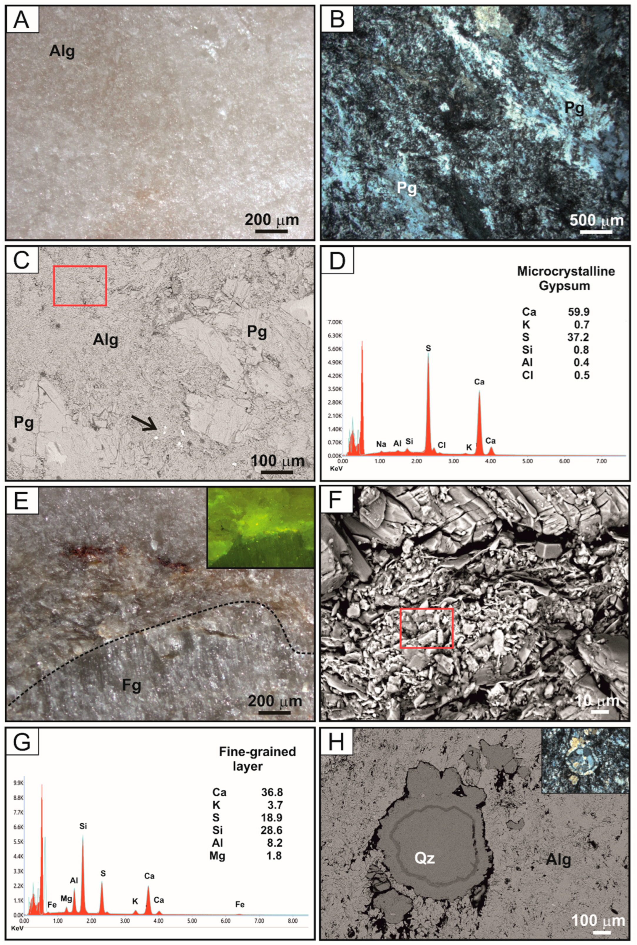 Minerals 15 00542 g007