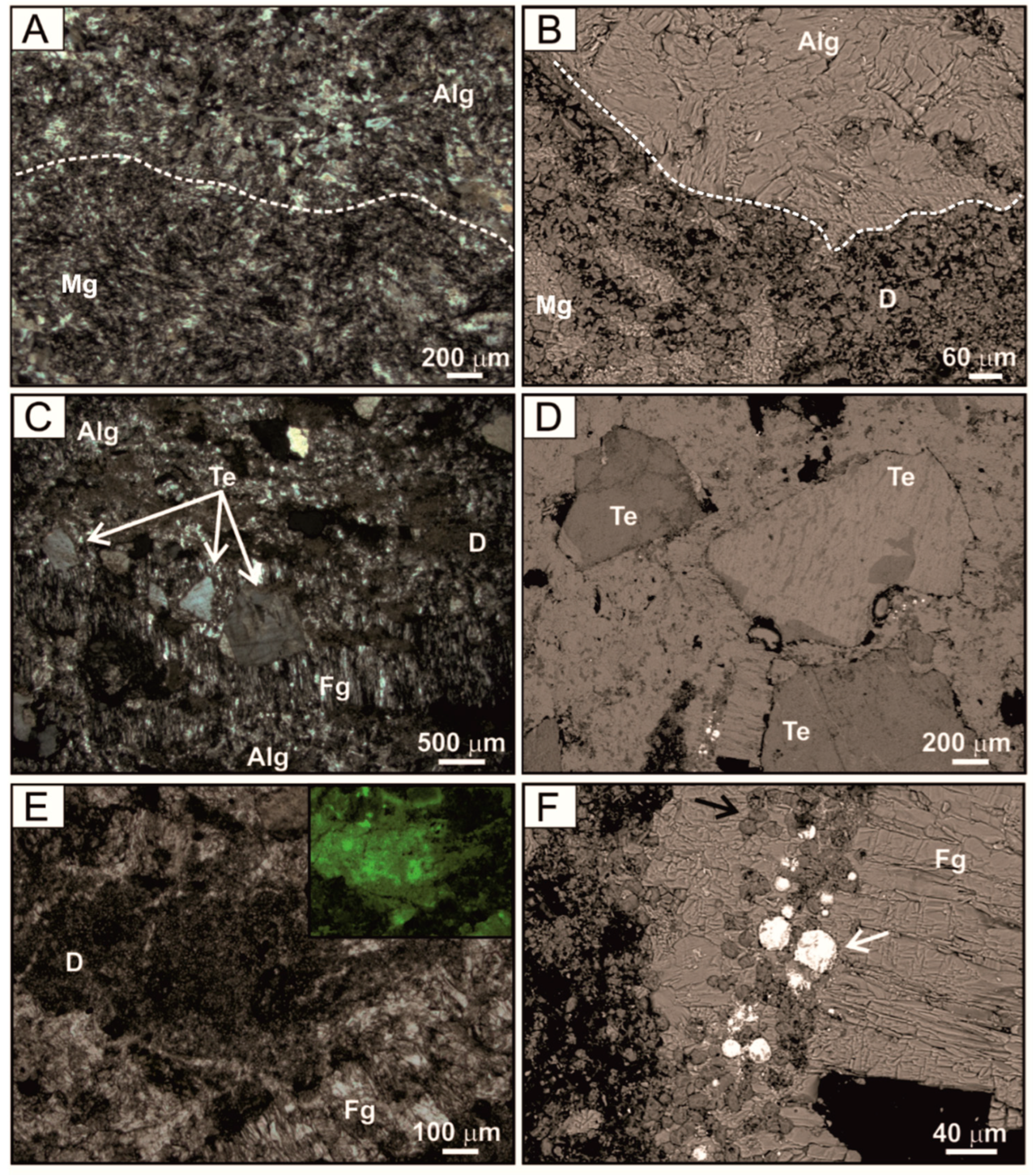 Minerals 15 00542 g008