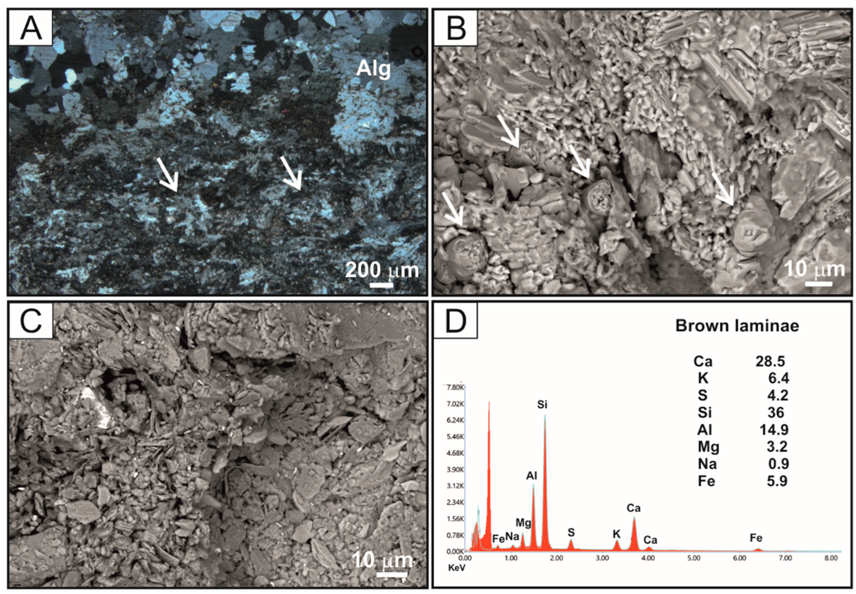 Minerals 15 00542 g010