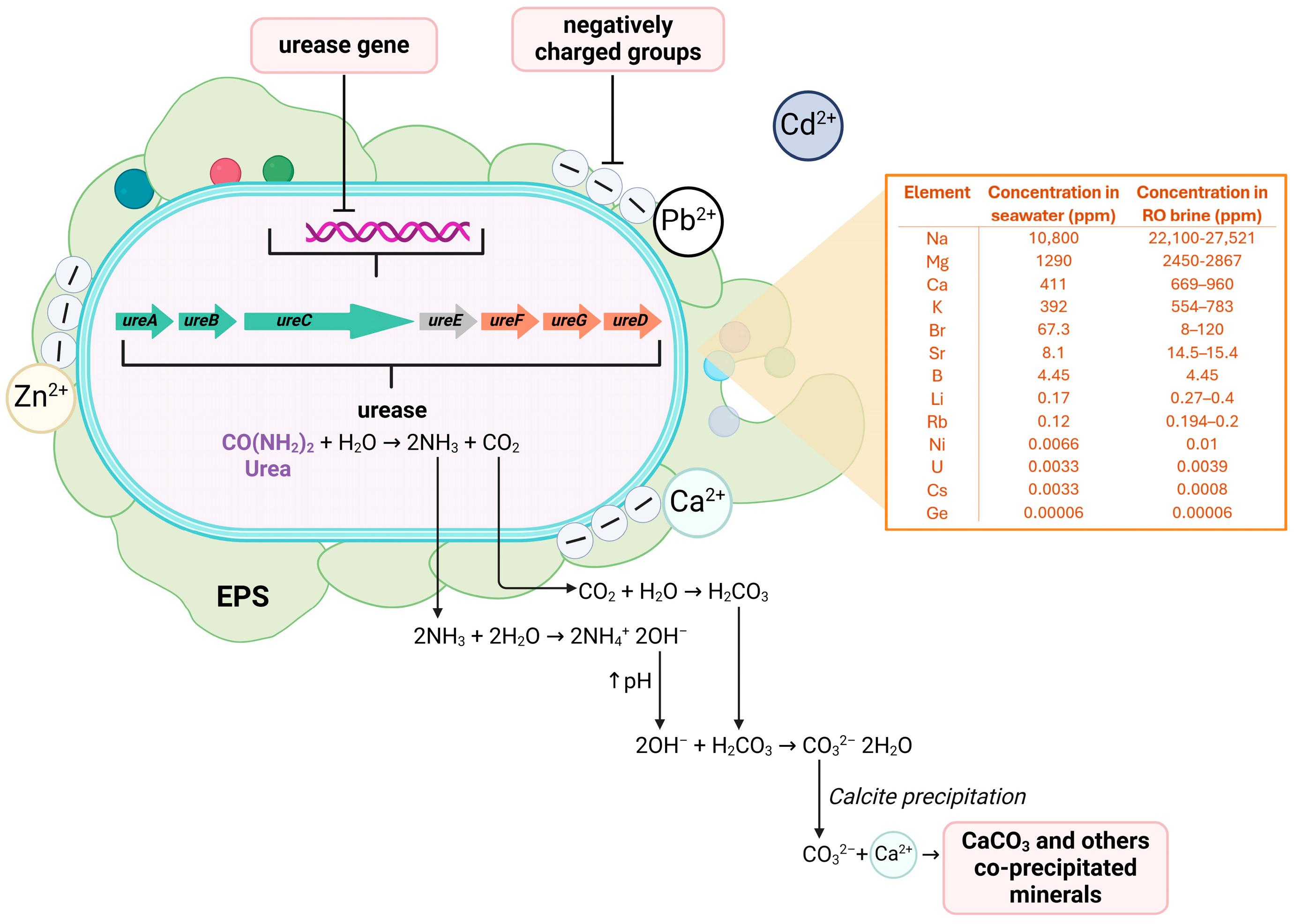 Minerals 15 00543 g001