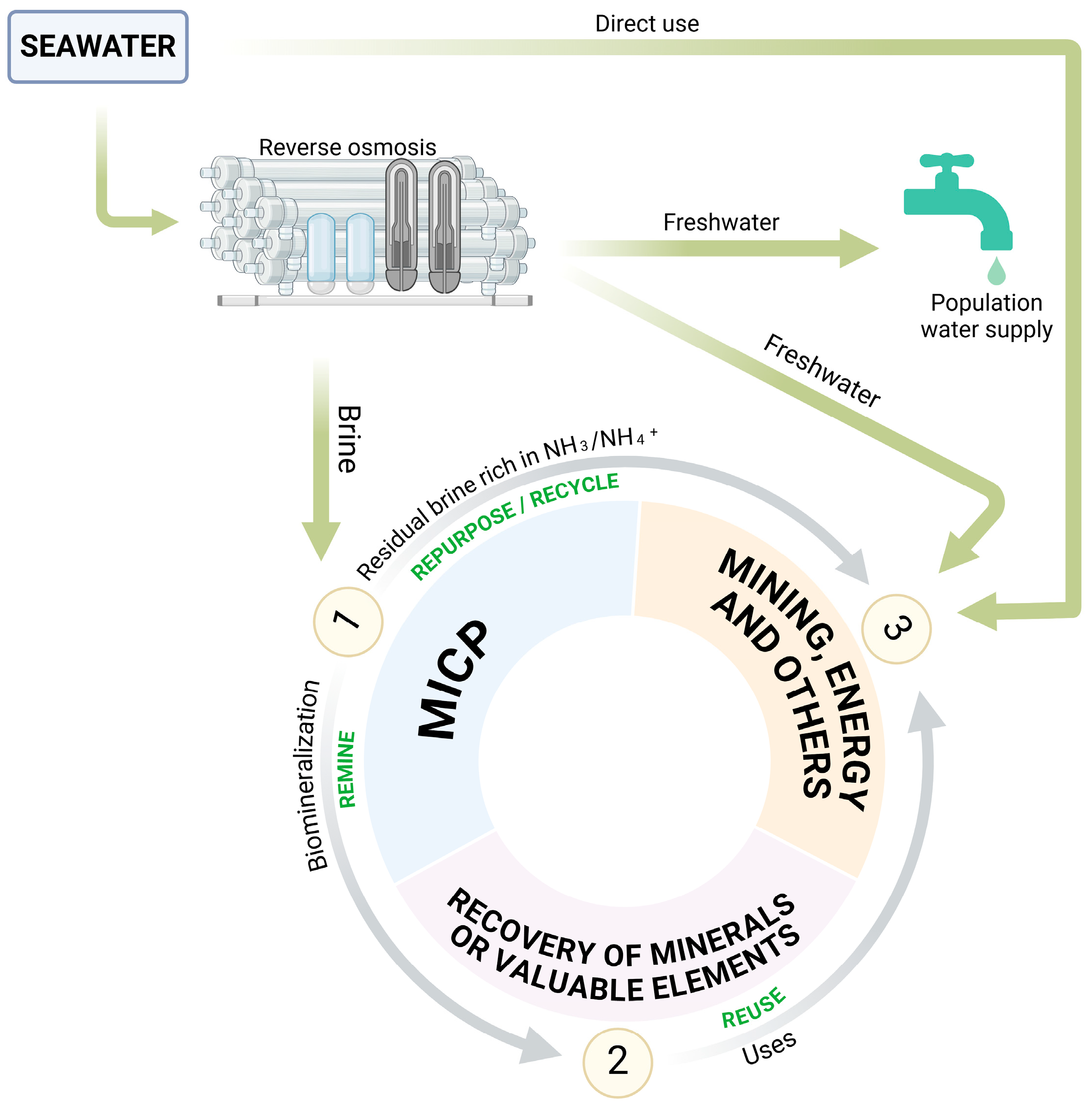 Minerals 15 00543 g002