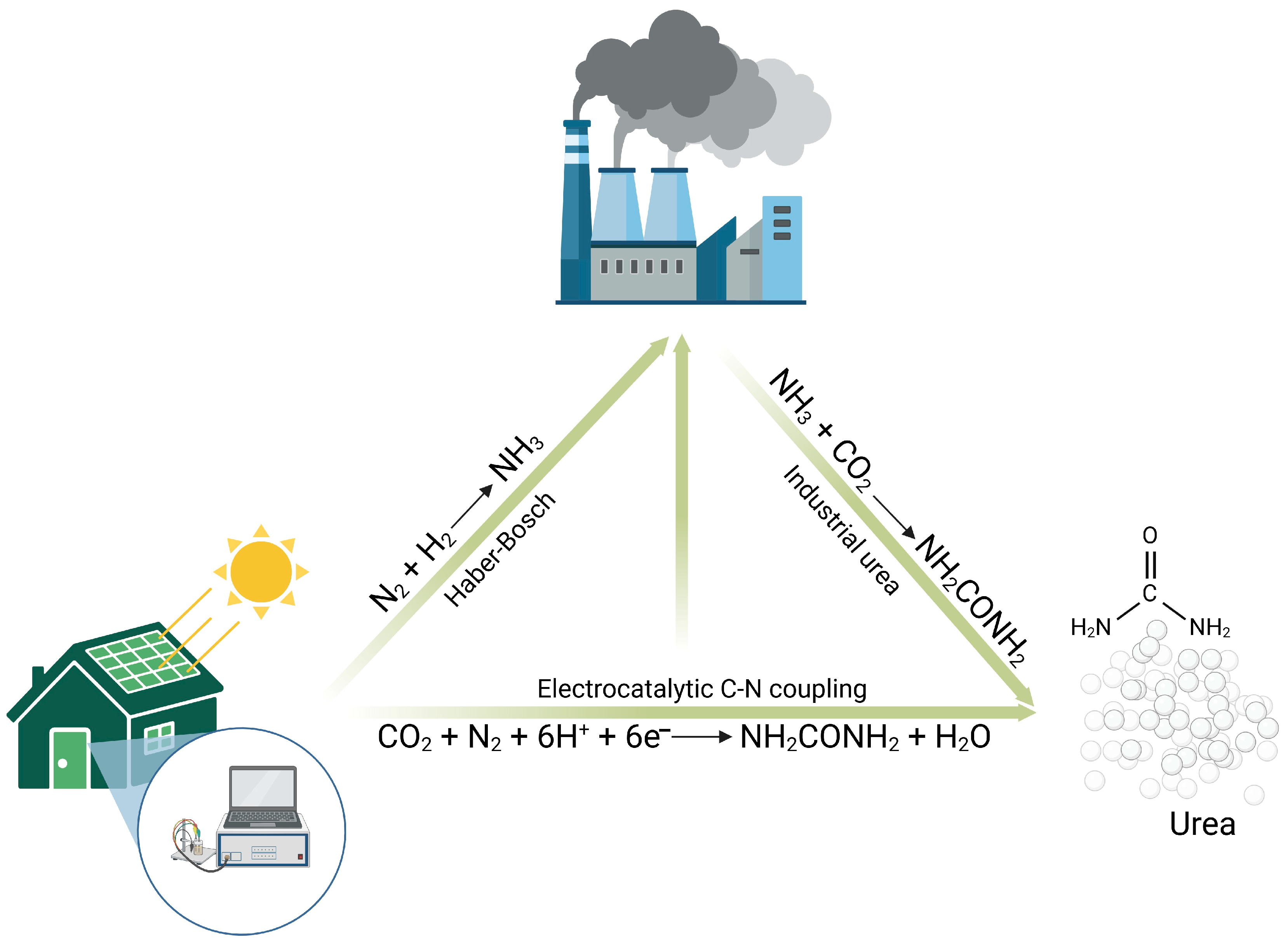 Minerals 15 00543 g003