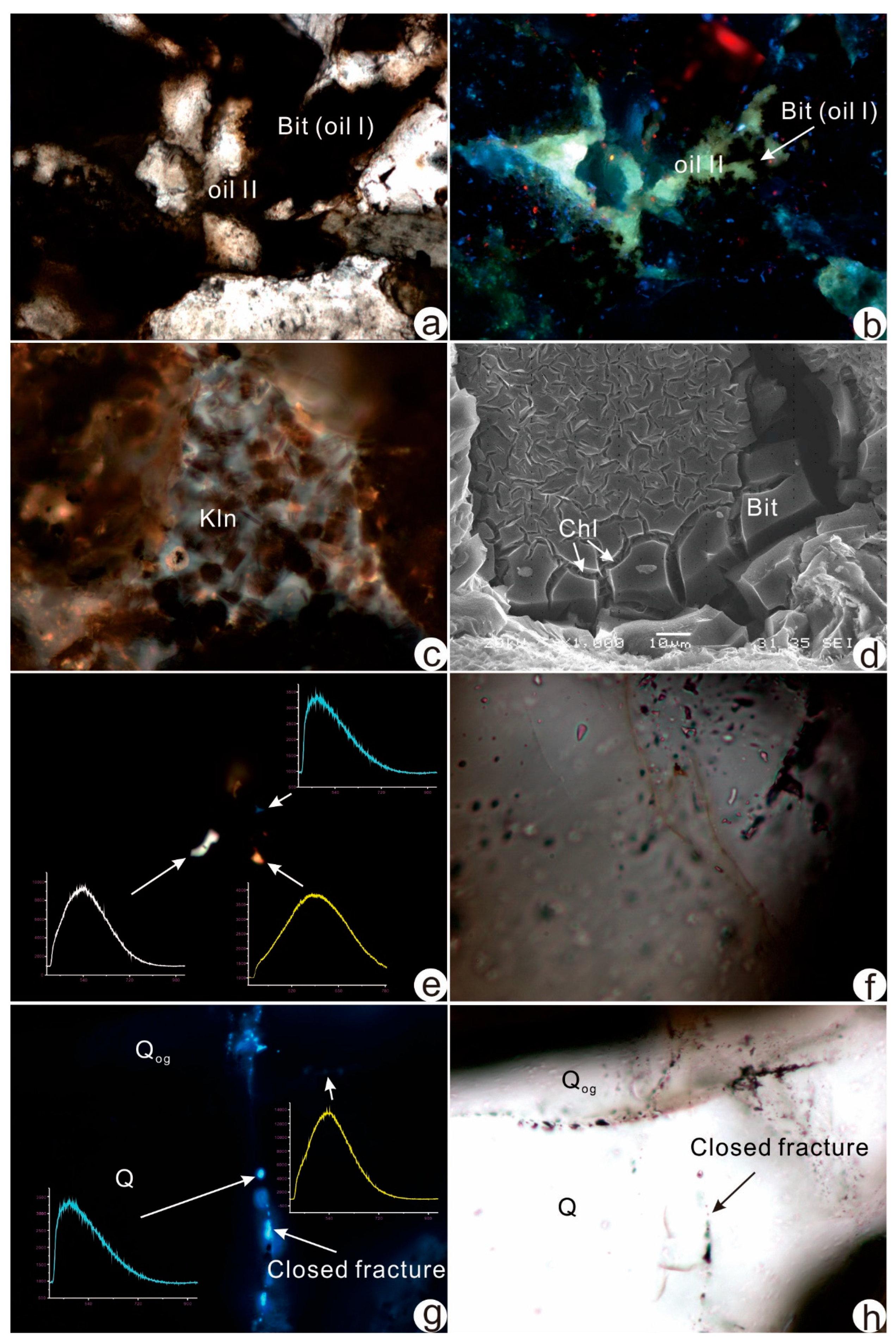 Minerals 15 00544 g006