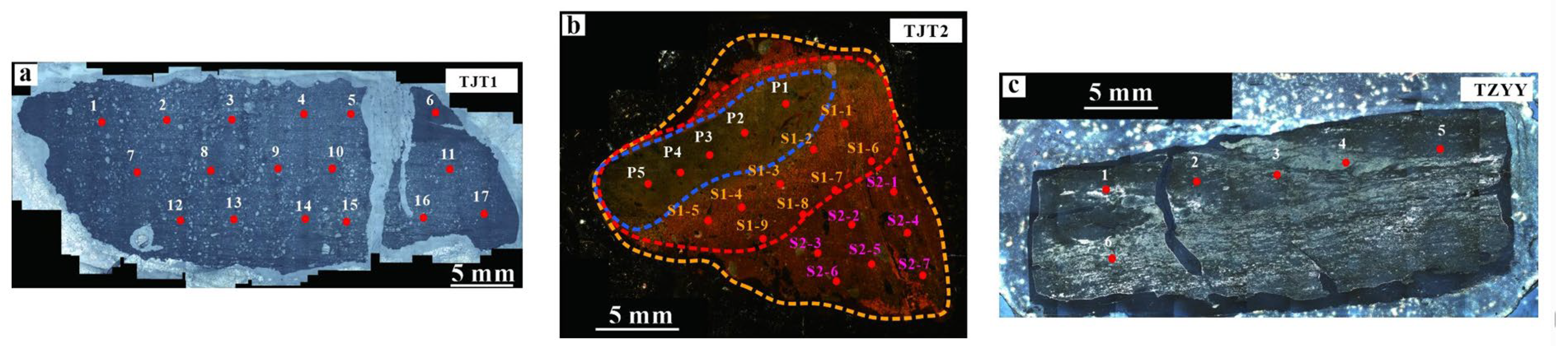 Minerals 15 00548 g003