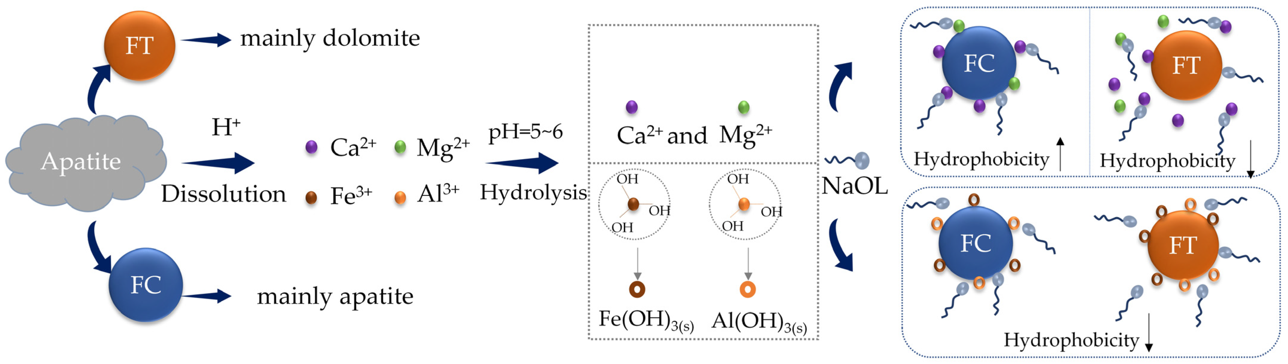 Minerals 15 00558 g003