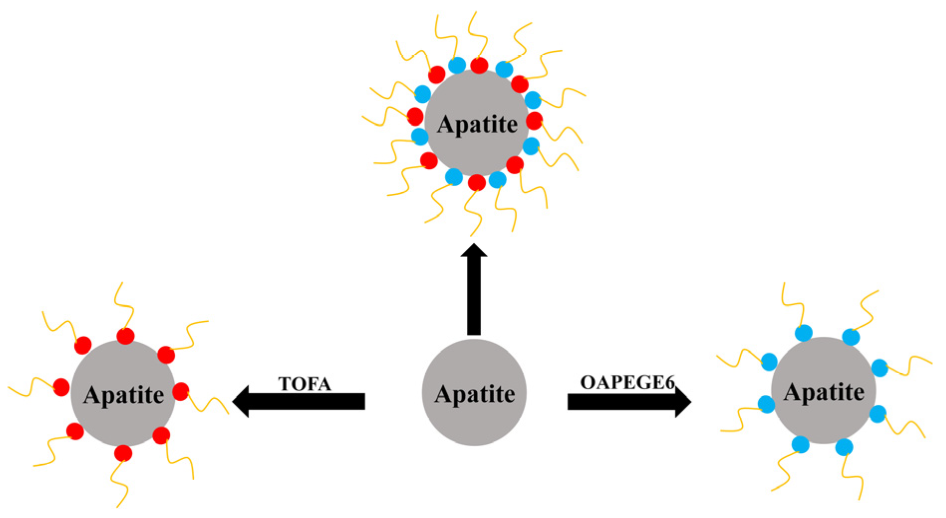 Minerals 15 00558 g005