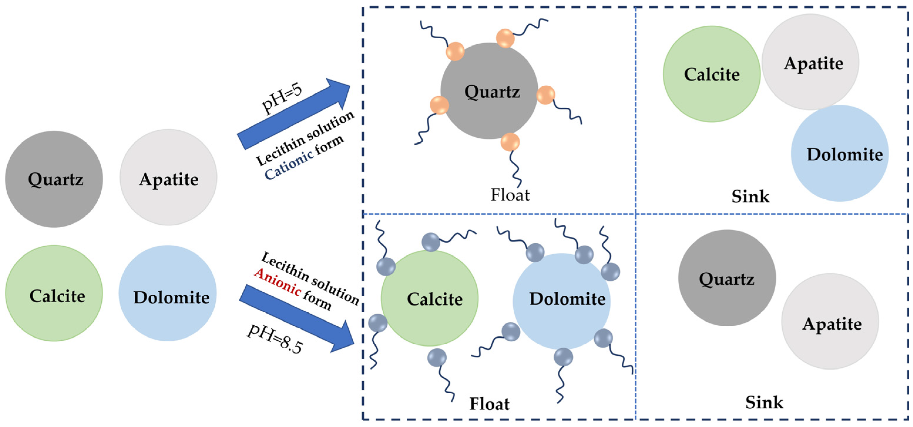 Minerals 15 00558 g007