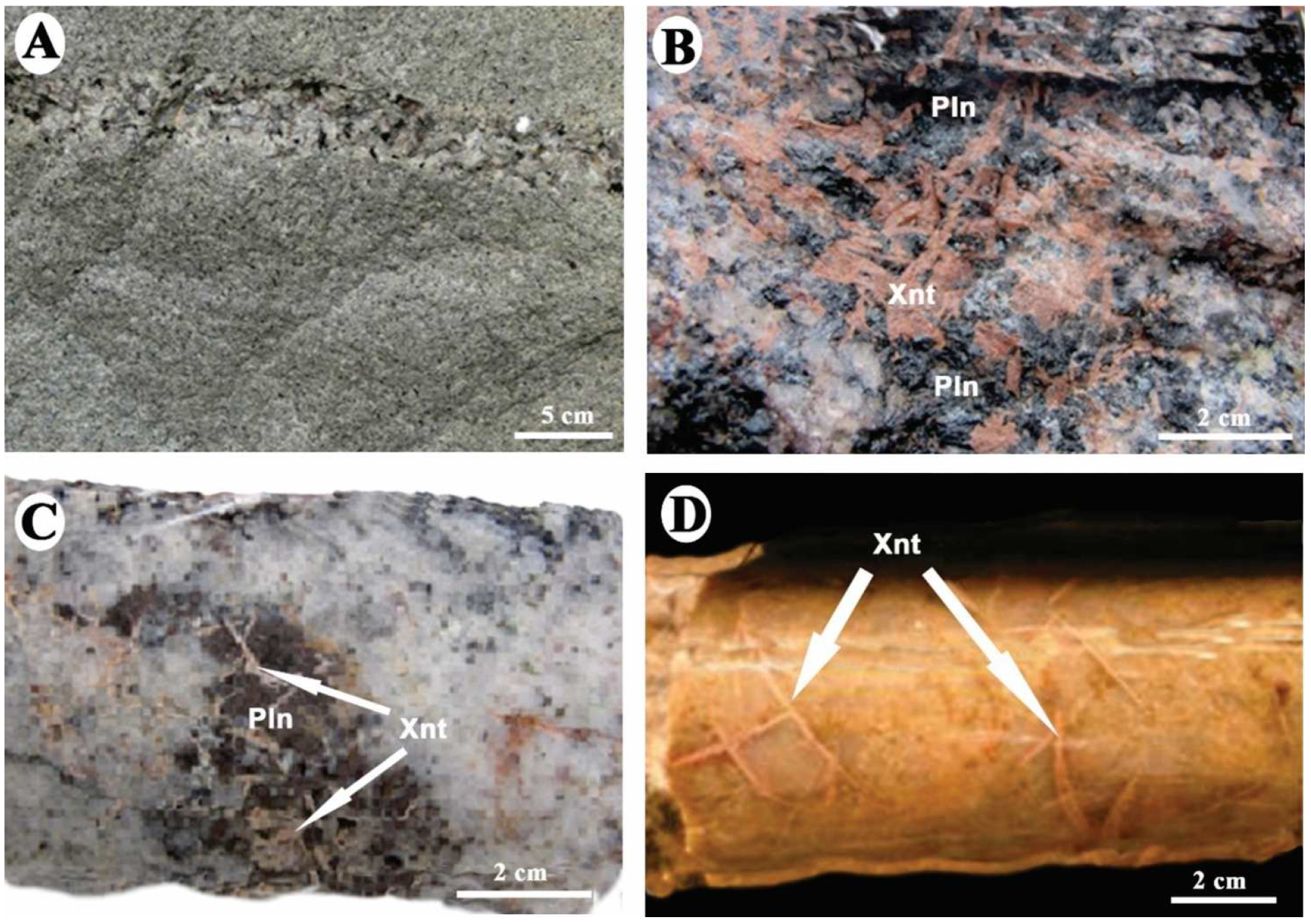 Minerals 15 00559 g011