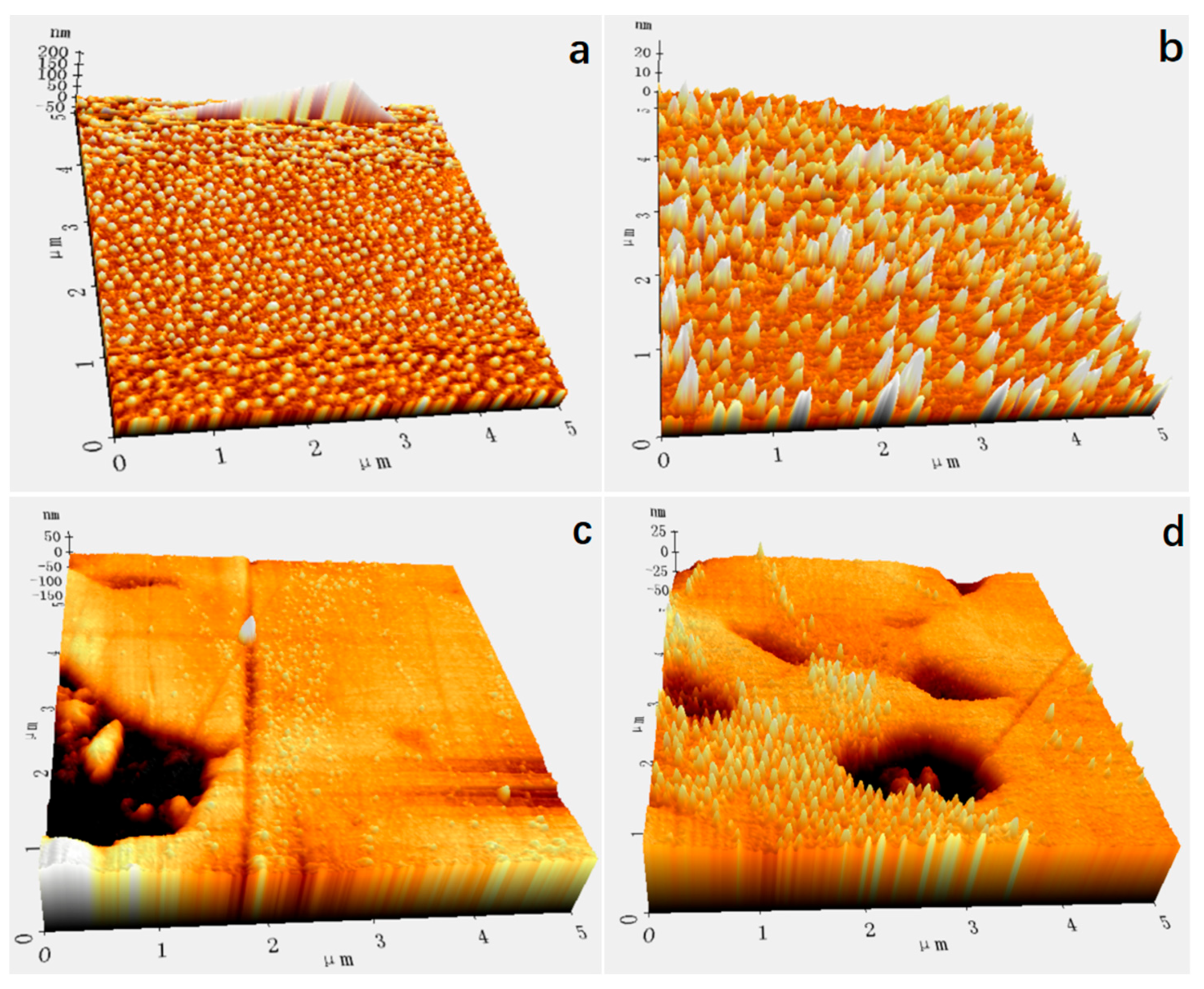 Minerals 15 00560 g010