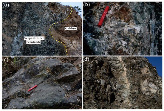 Origins of Zircon Xenocrysts in the Neoproterozoic South