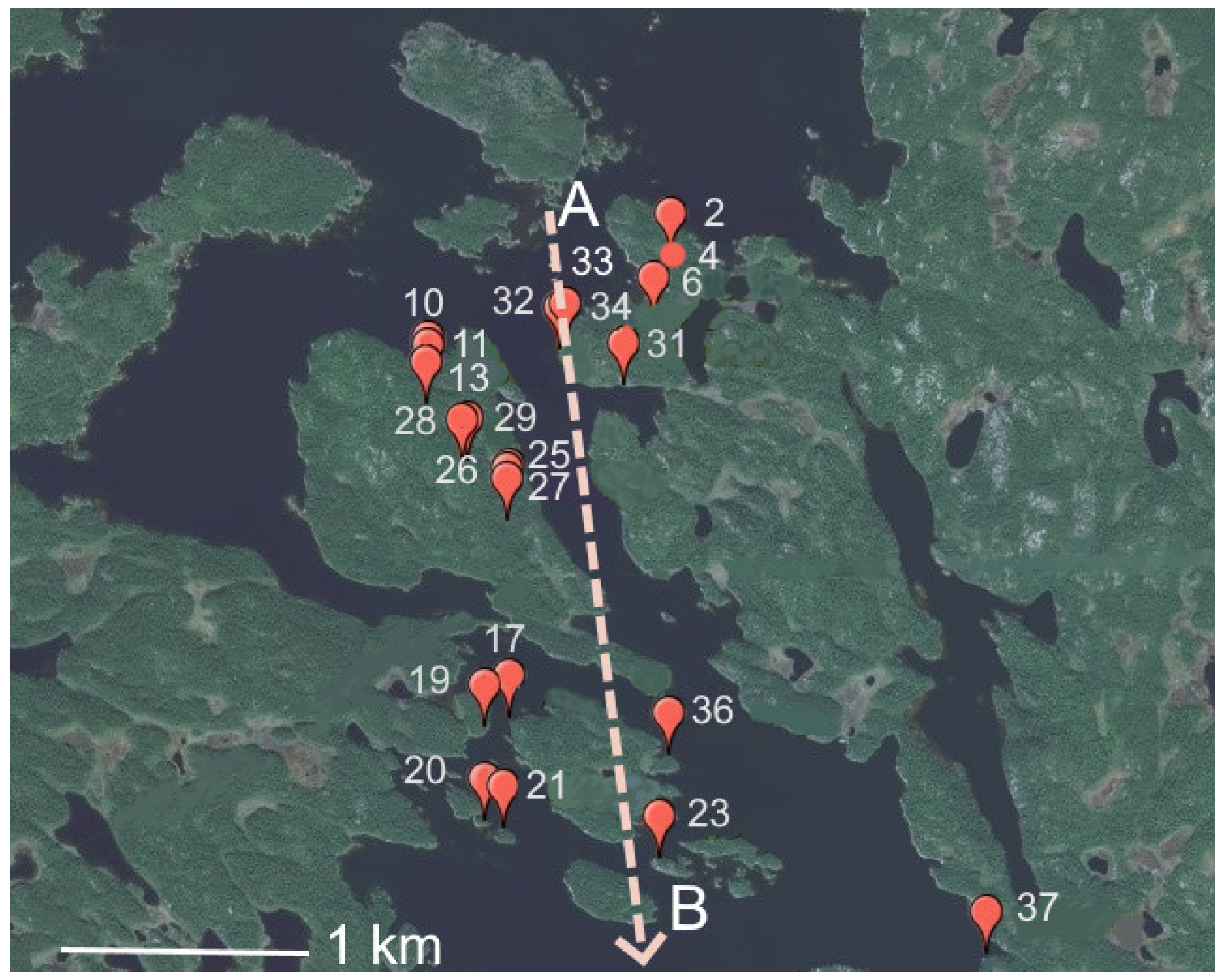 Minerals 15 00565 g003
