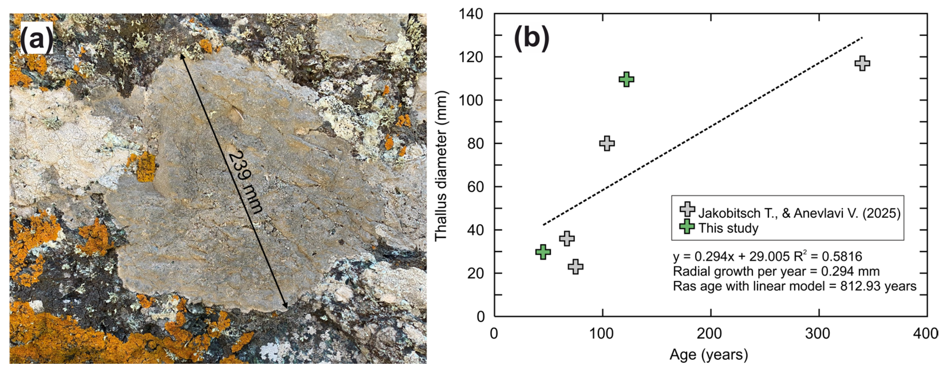 Minerals 15 00568 g005