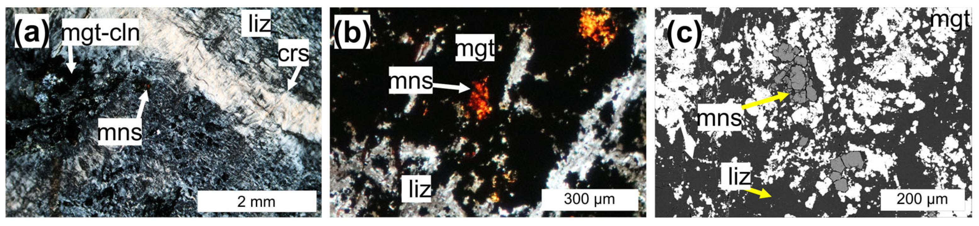 Minerals 15 00568 g006