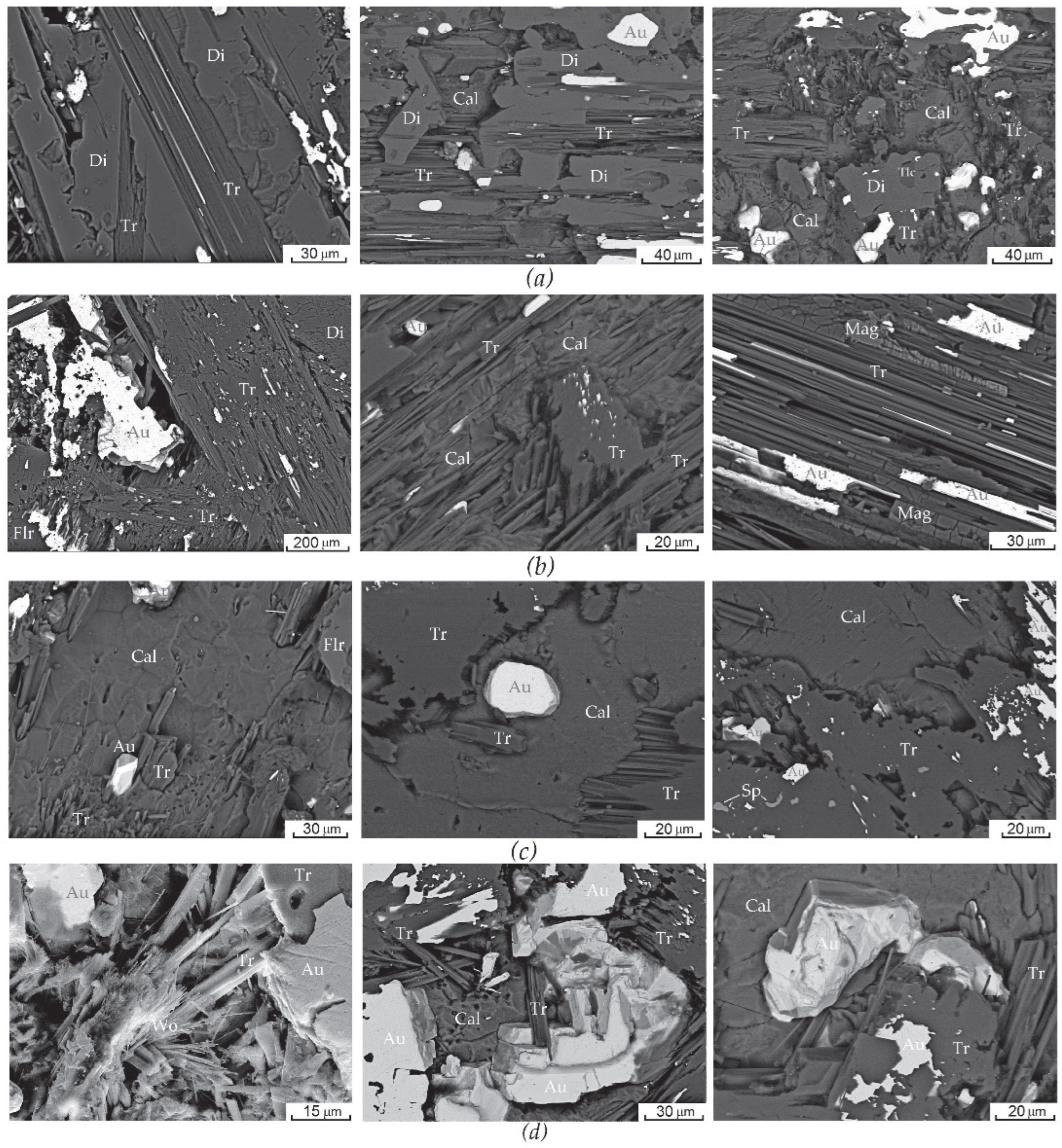 Minerals 15 00571 g007