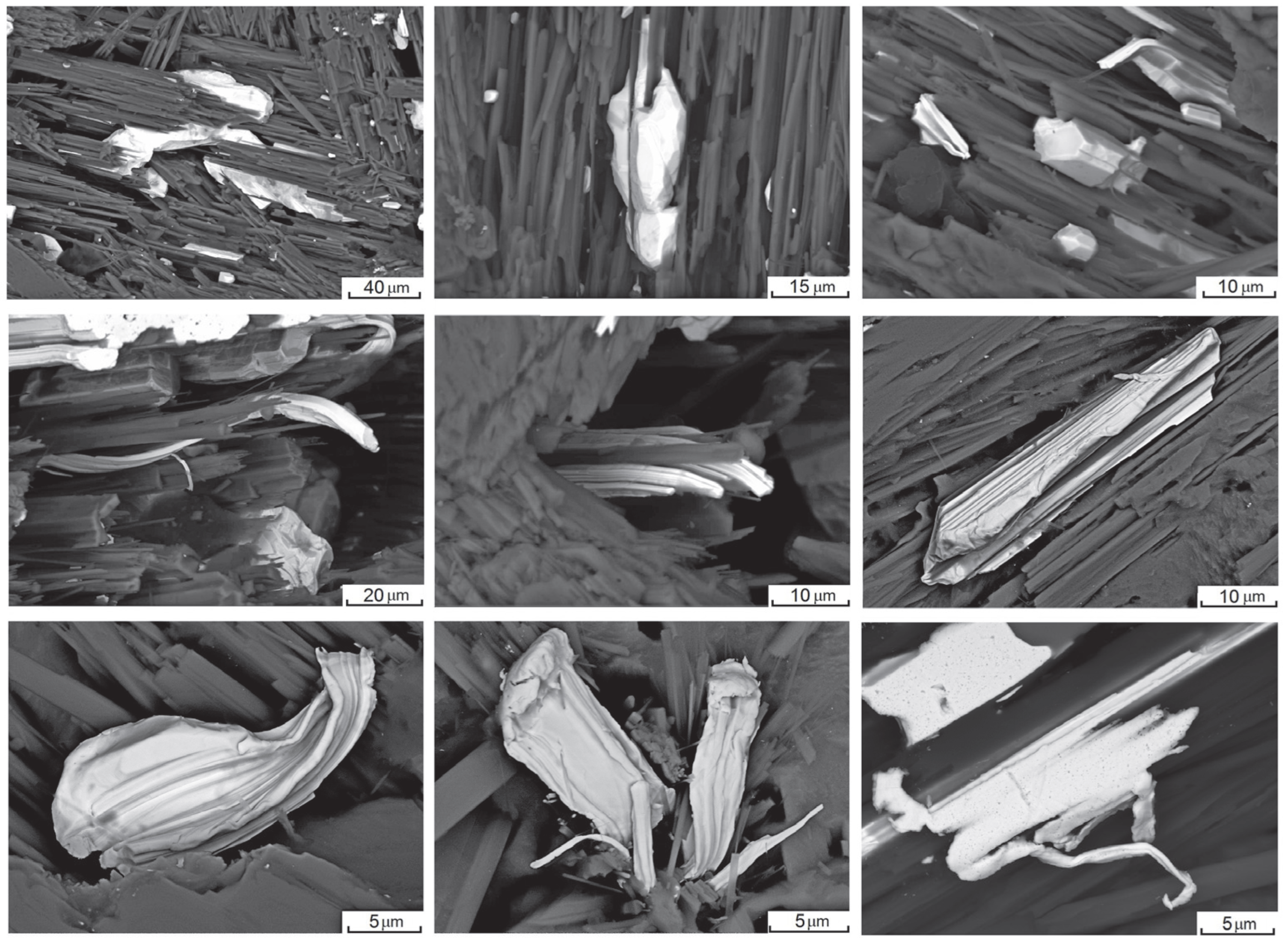 Minerals 15 00571 g008
