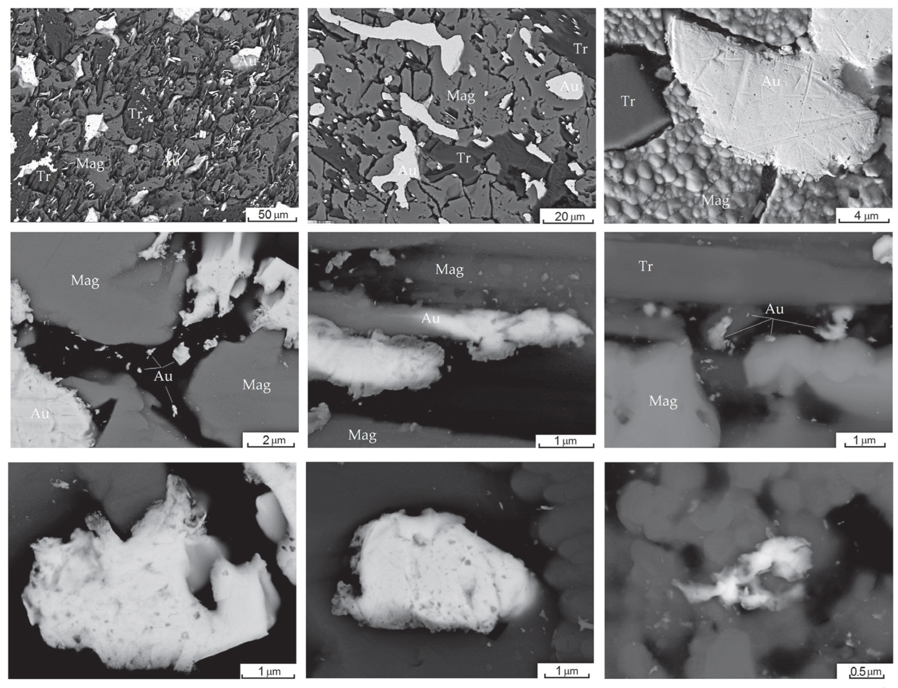 Minerals 15 00571 g010