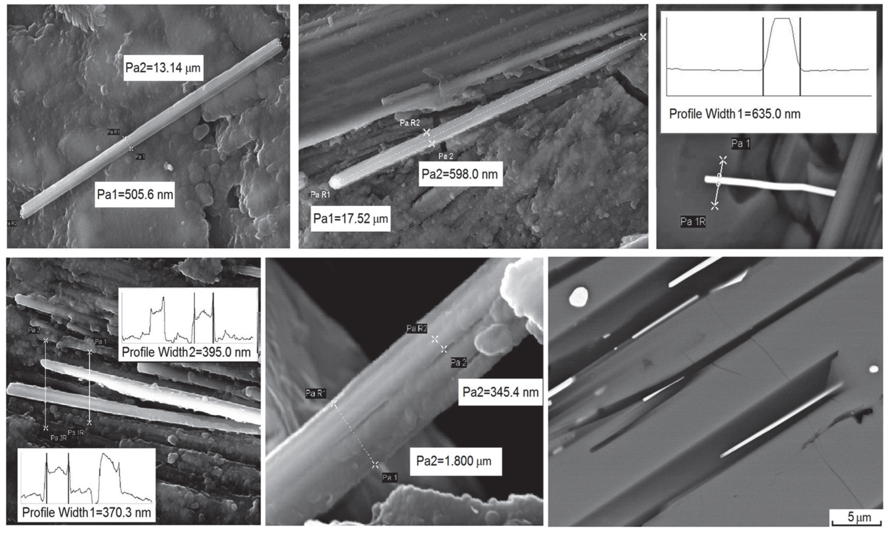 Minerals 15 00571 g012