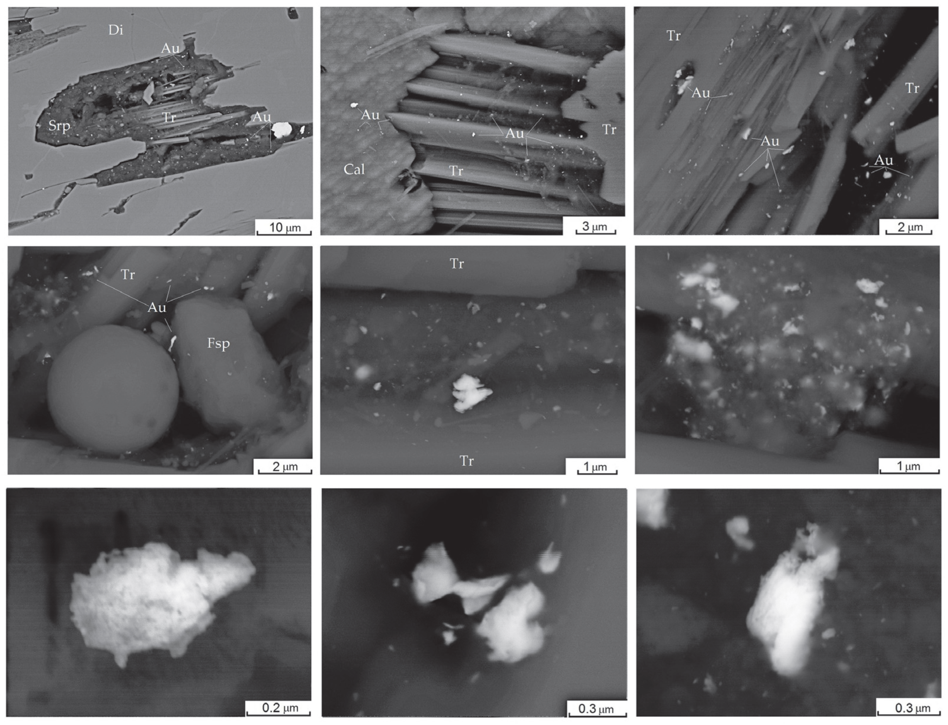 Minerals 15 00571 g015