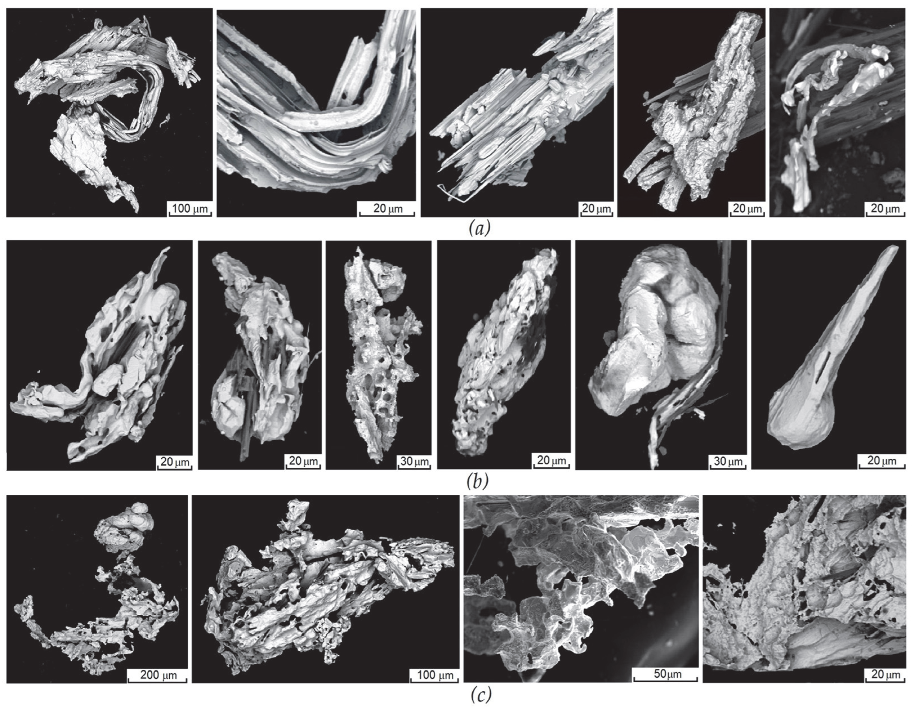 Minerals 15 00571 g016