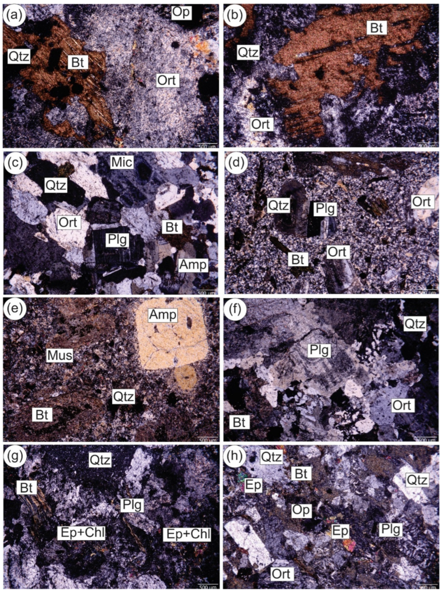 Minerals 15 00578 g007