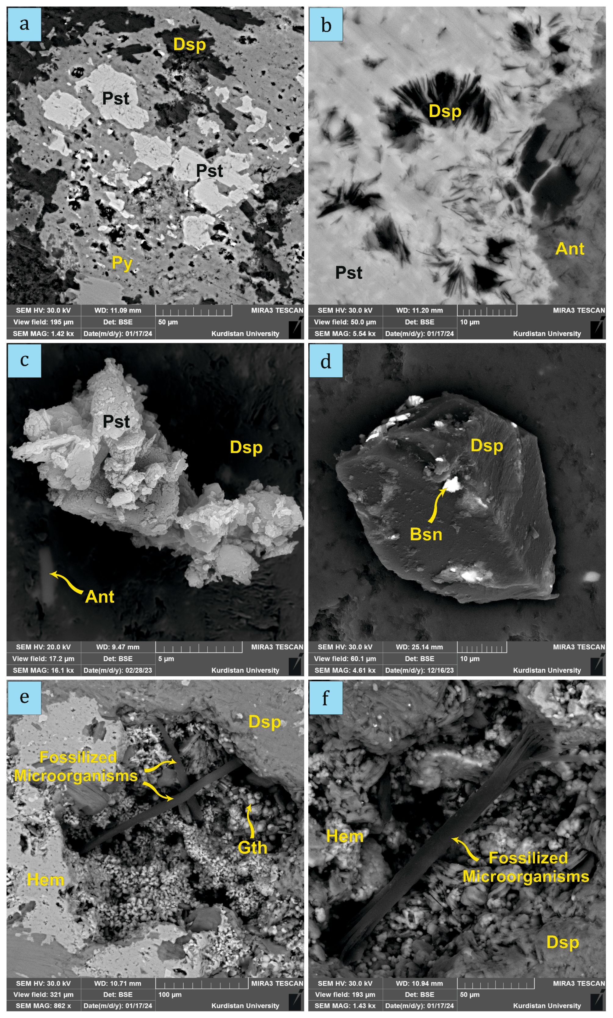 Minerals 15 00584 g009