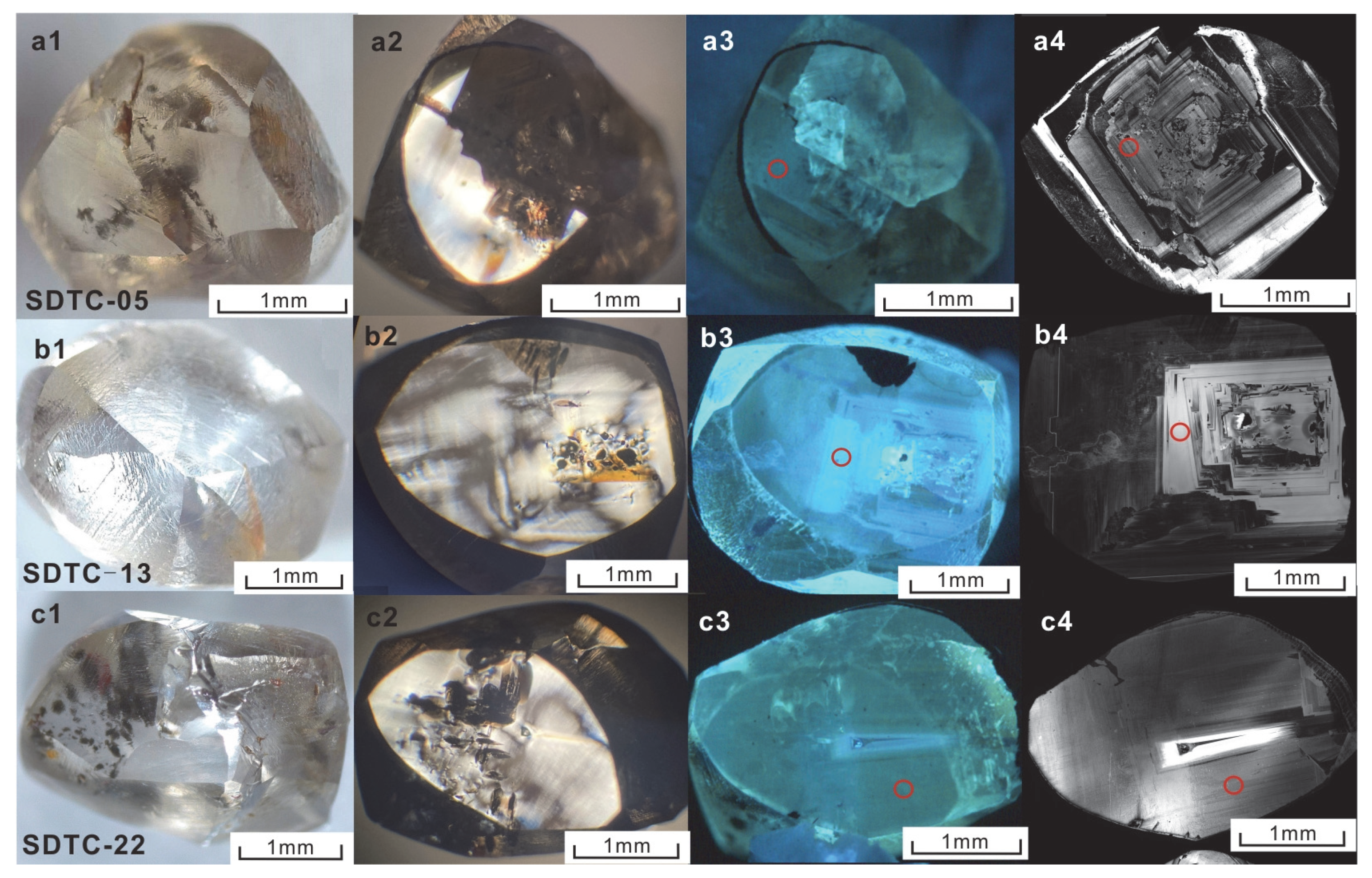 Minerals 15 00588 g002a