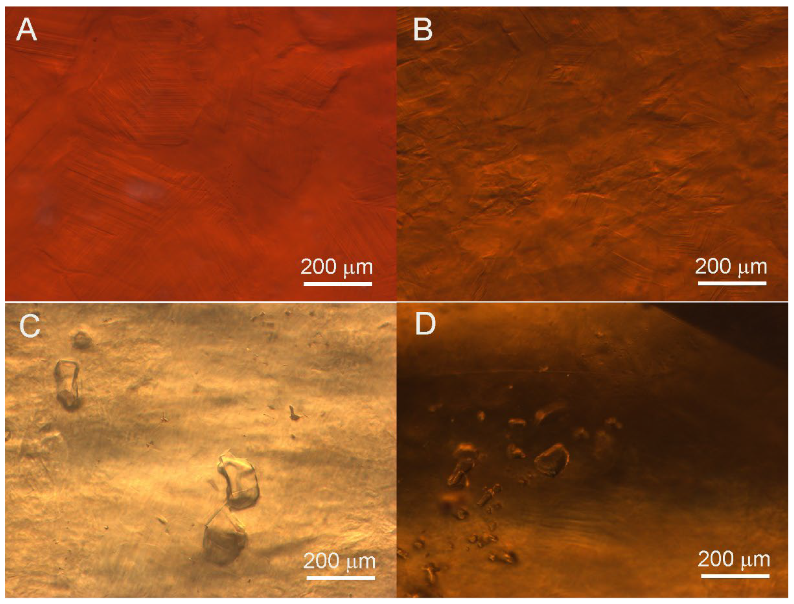 Minerals 15 00601 g003