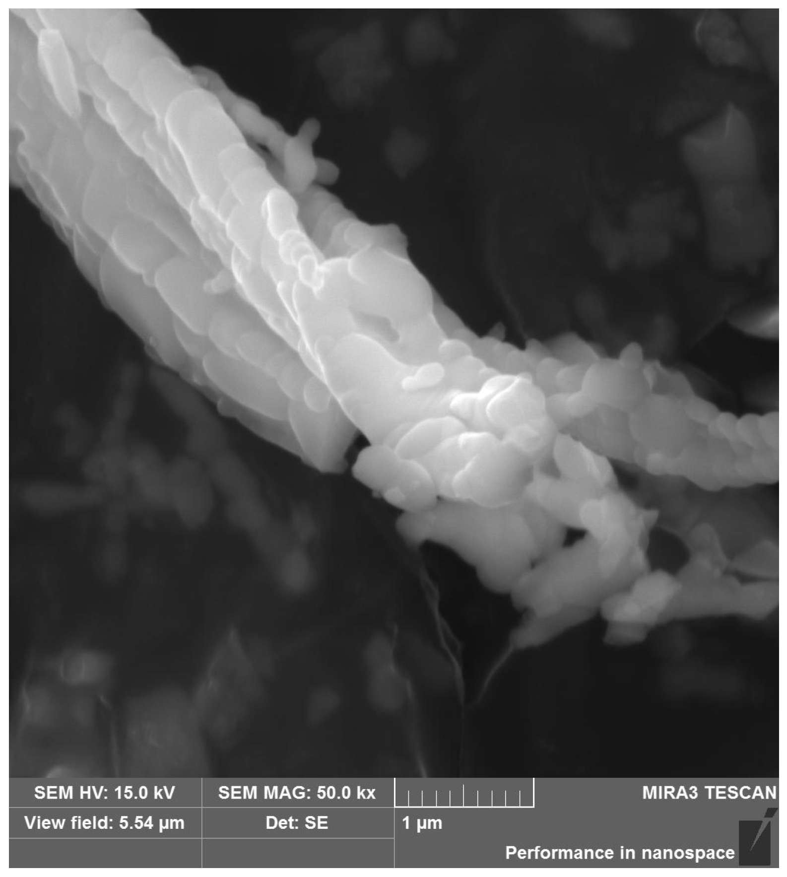 Minerals 15 00609 g006