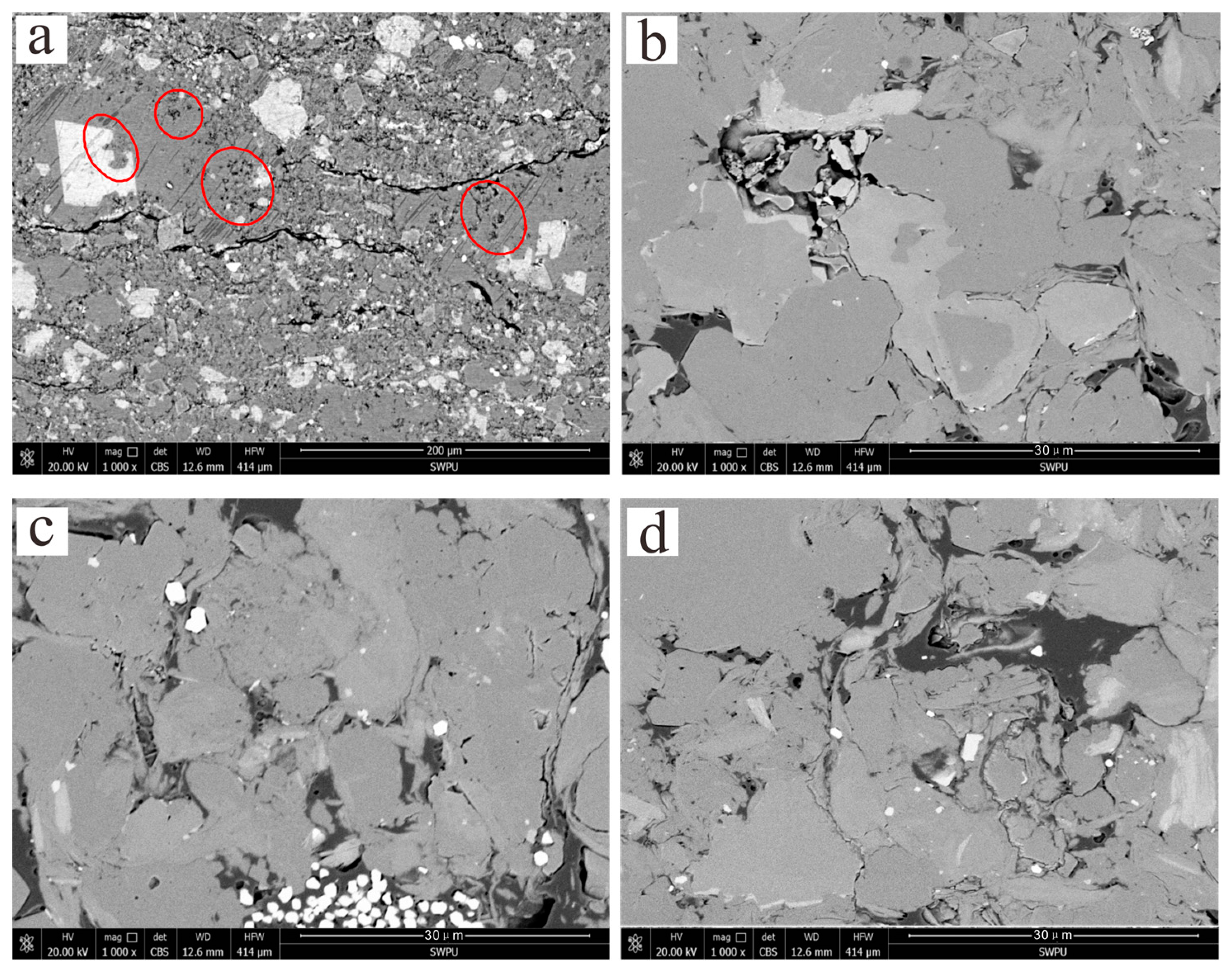 Minerals 15 00619 g006