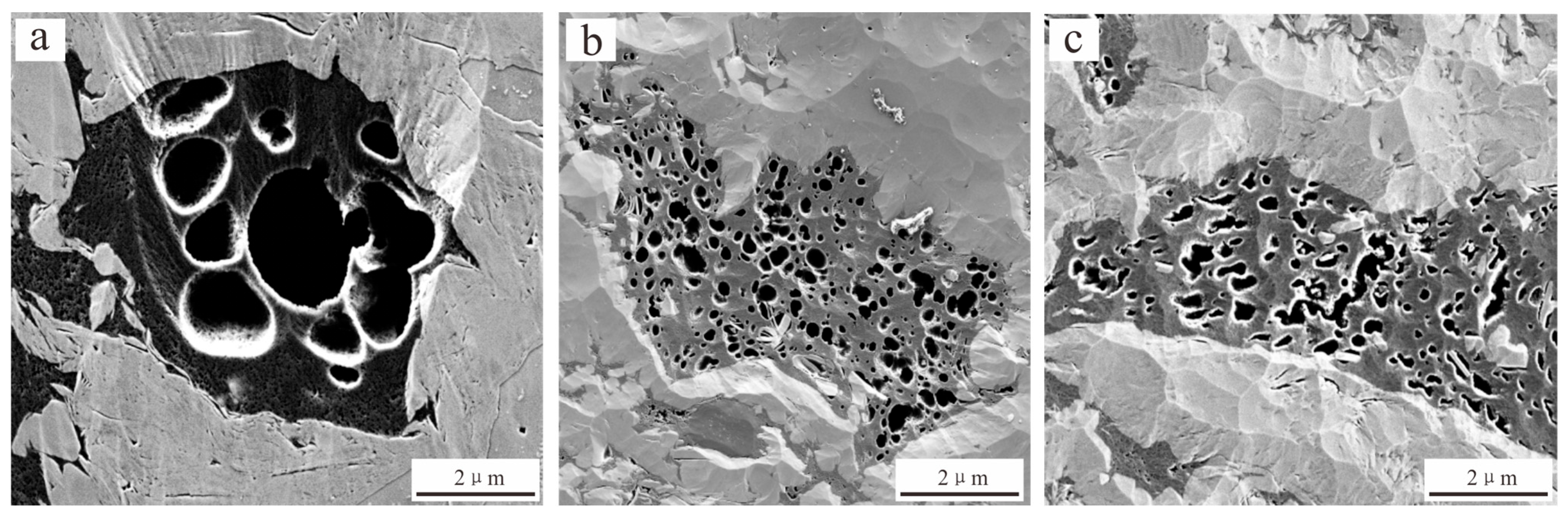 Minerals 15 00619 g010