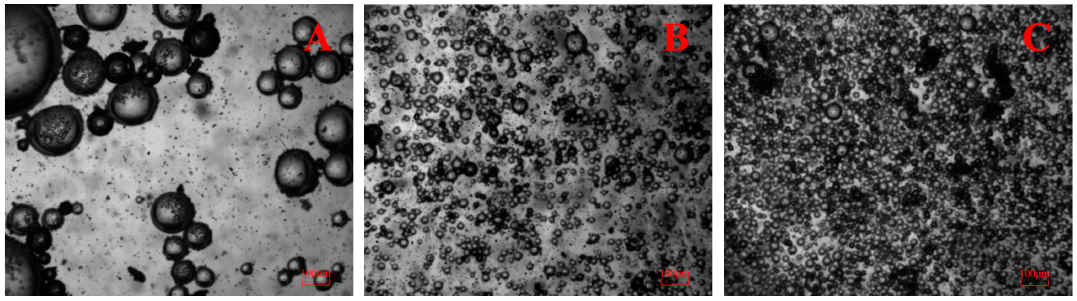 Minerals 15 00628 g029