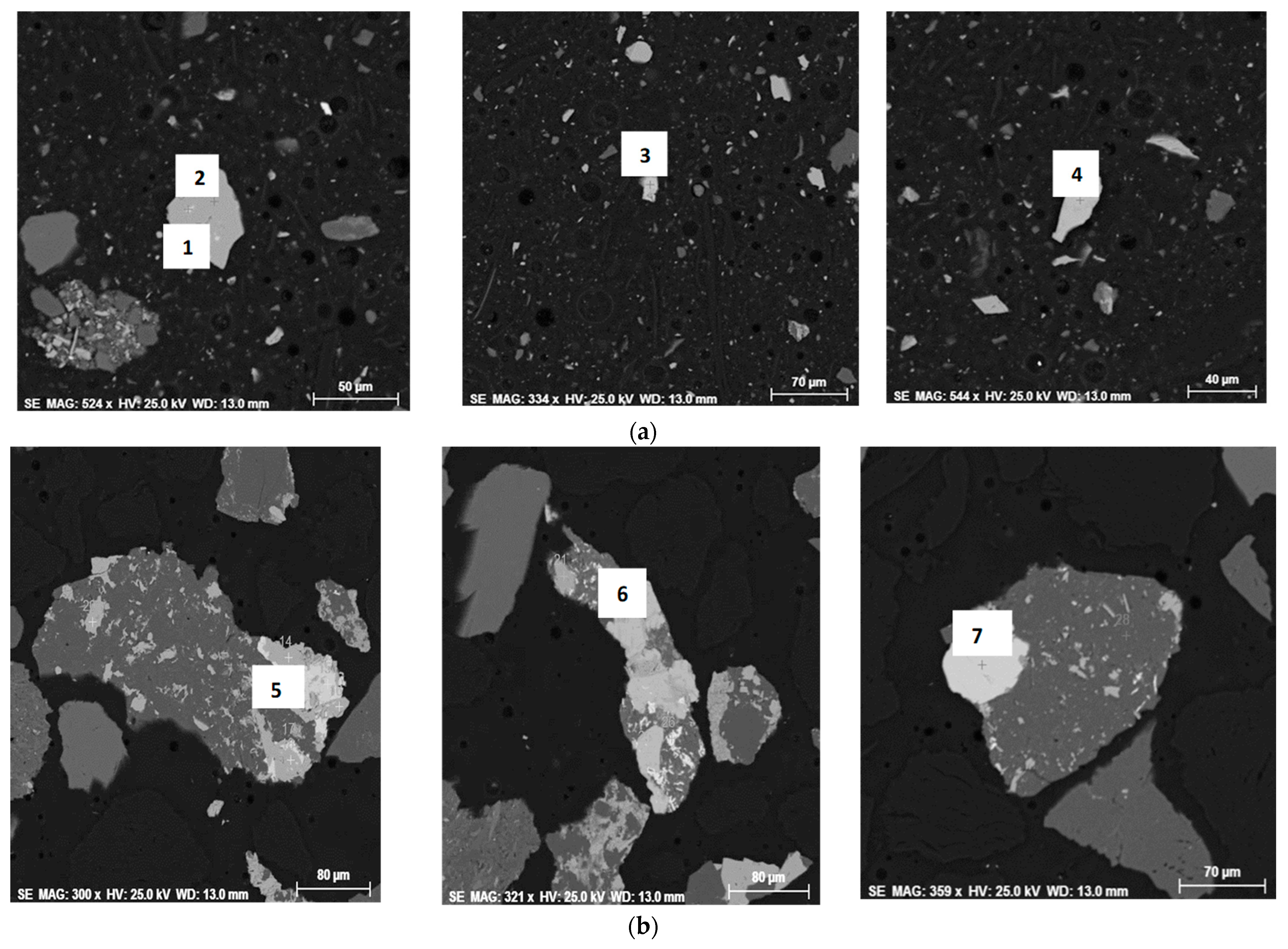 Minerals 15 00649 g010