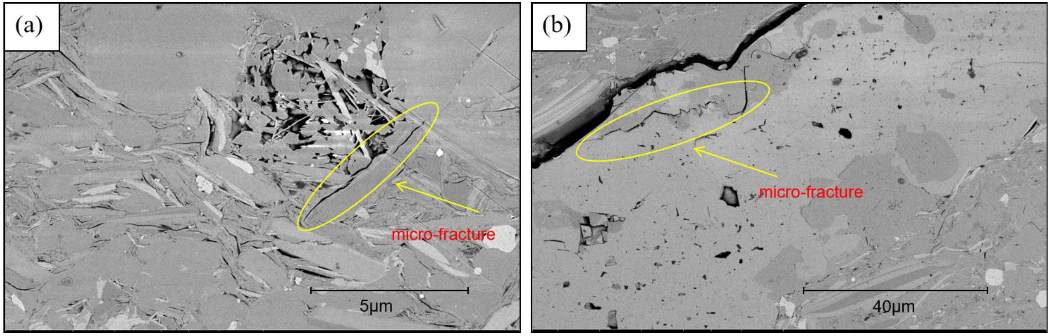 Minerals 15 00650 g007