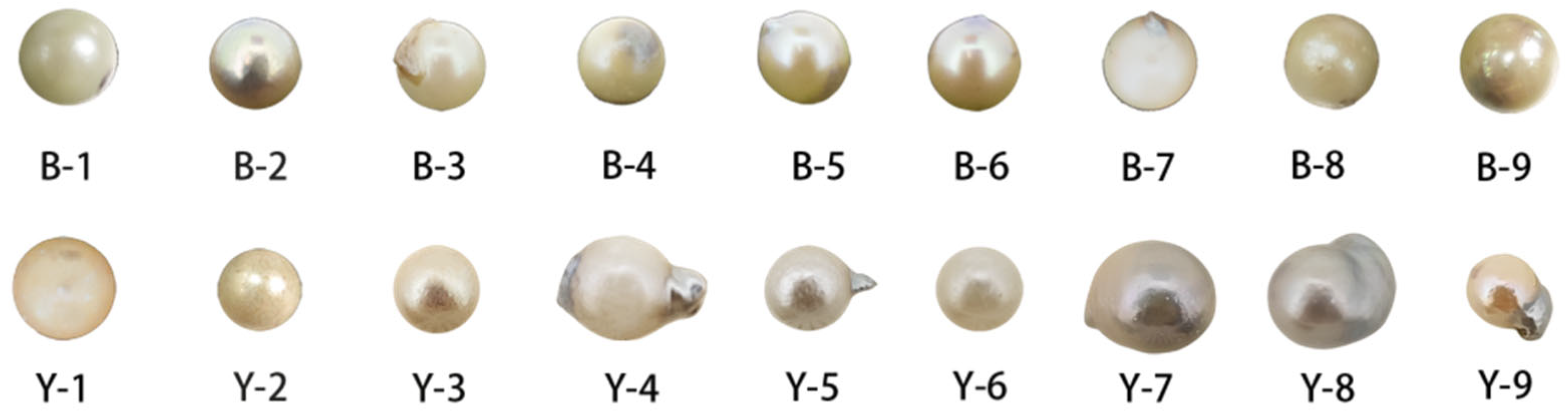 Minerals 15 00654 g003