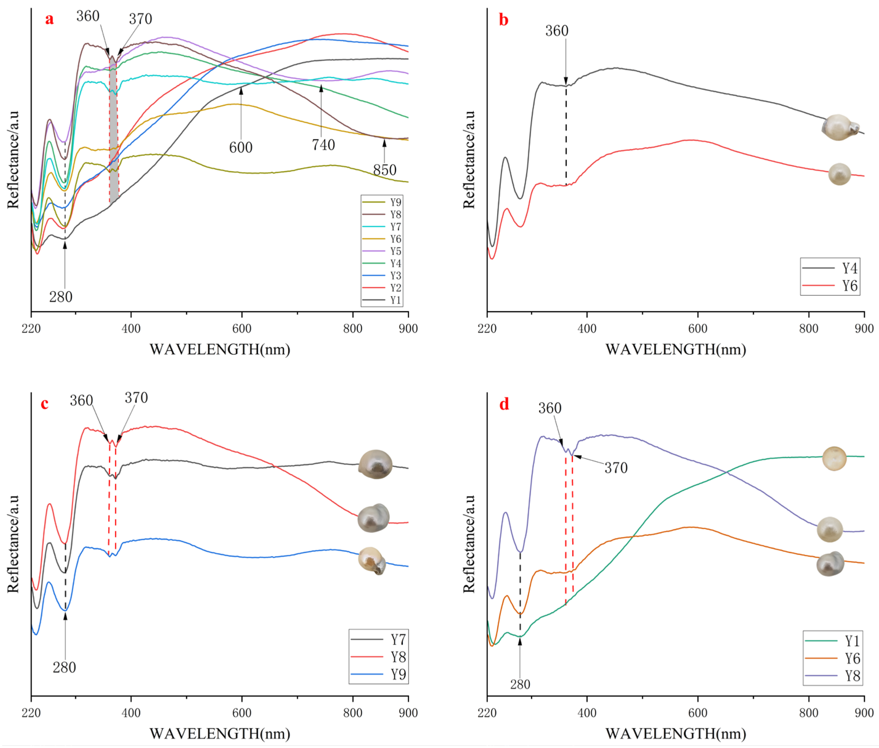 Minerals 15 00654 g006