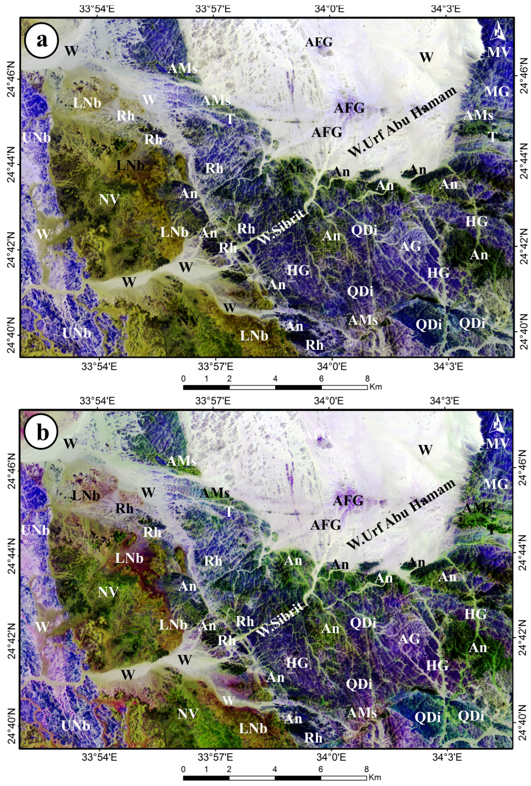 Minerals 15 00657 g013