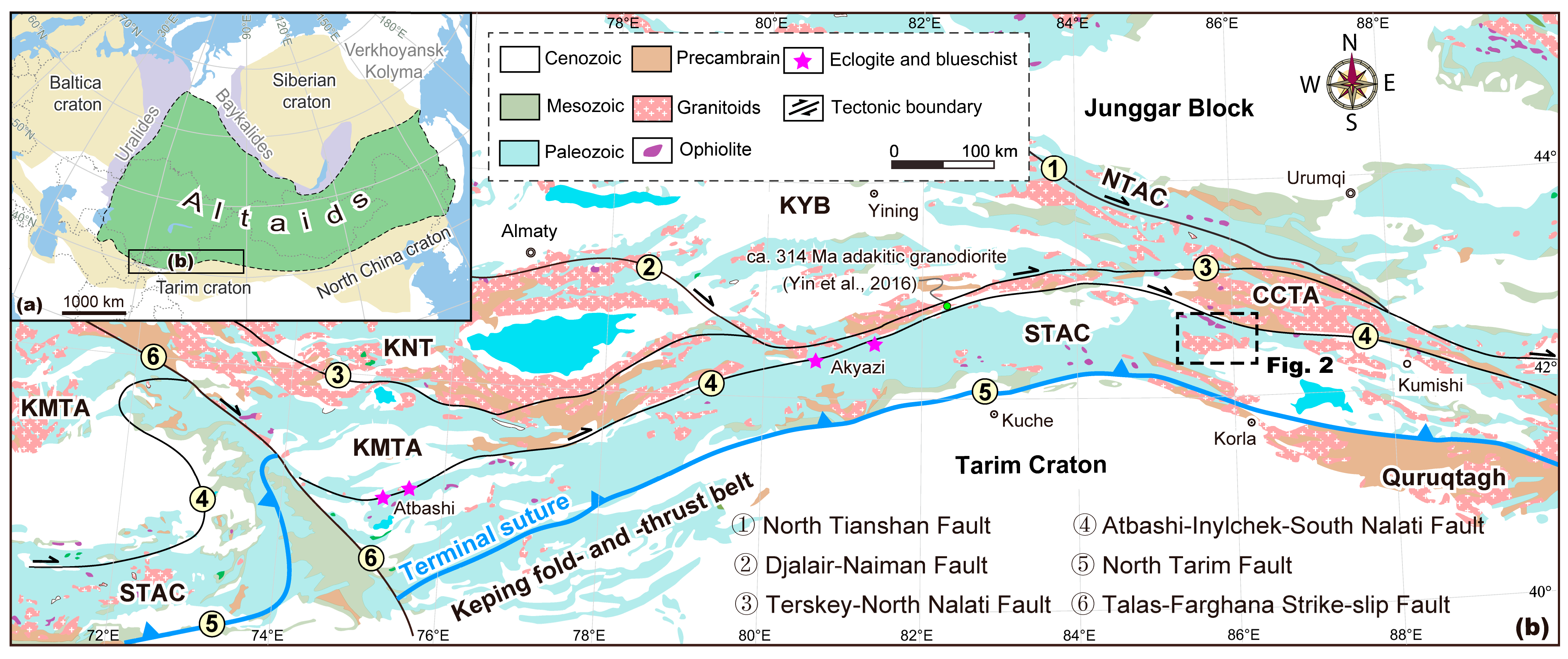 Late Carboniferous Slab Rollback in the Southern Altaids