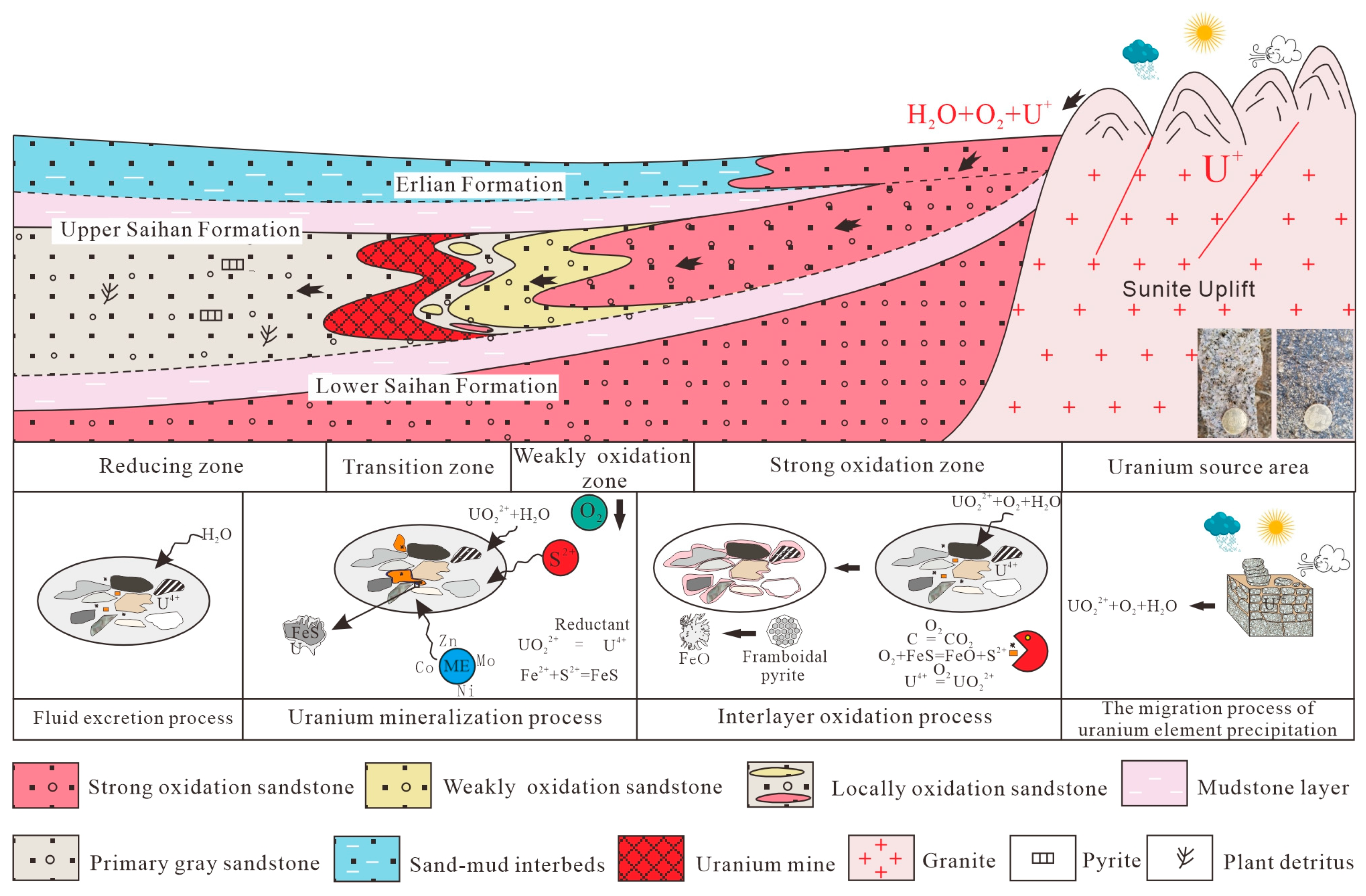 Minerals 15 00688 g012