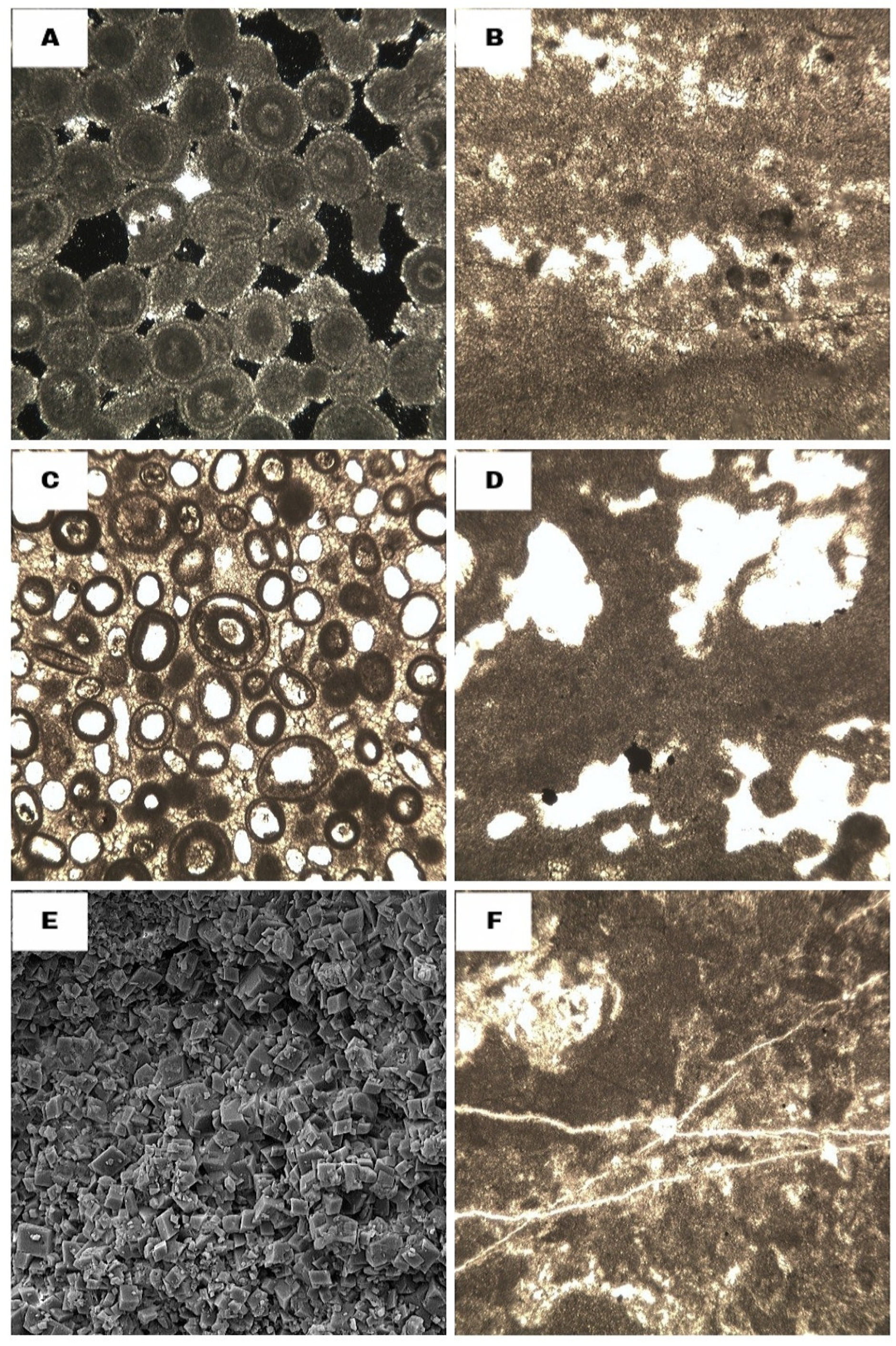 Minerals 15 00690 g009