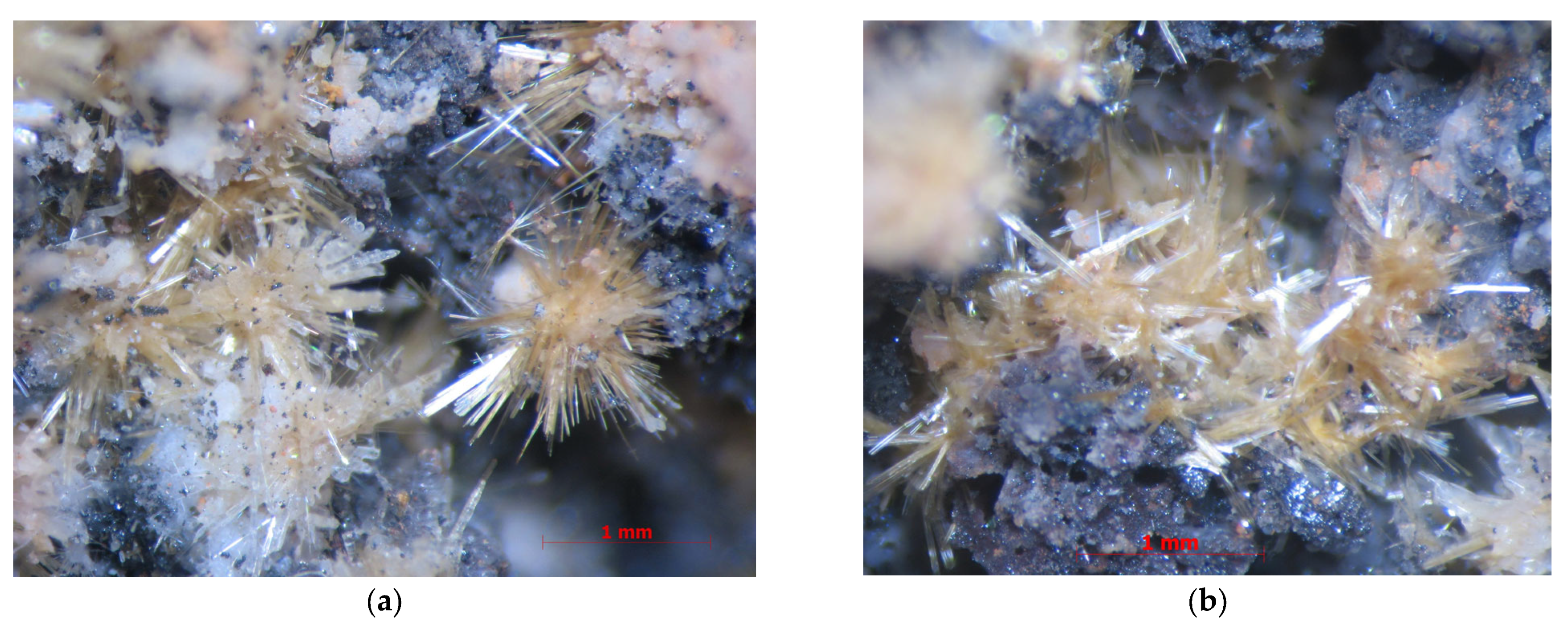 Minerals 15 00706 g002