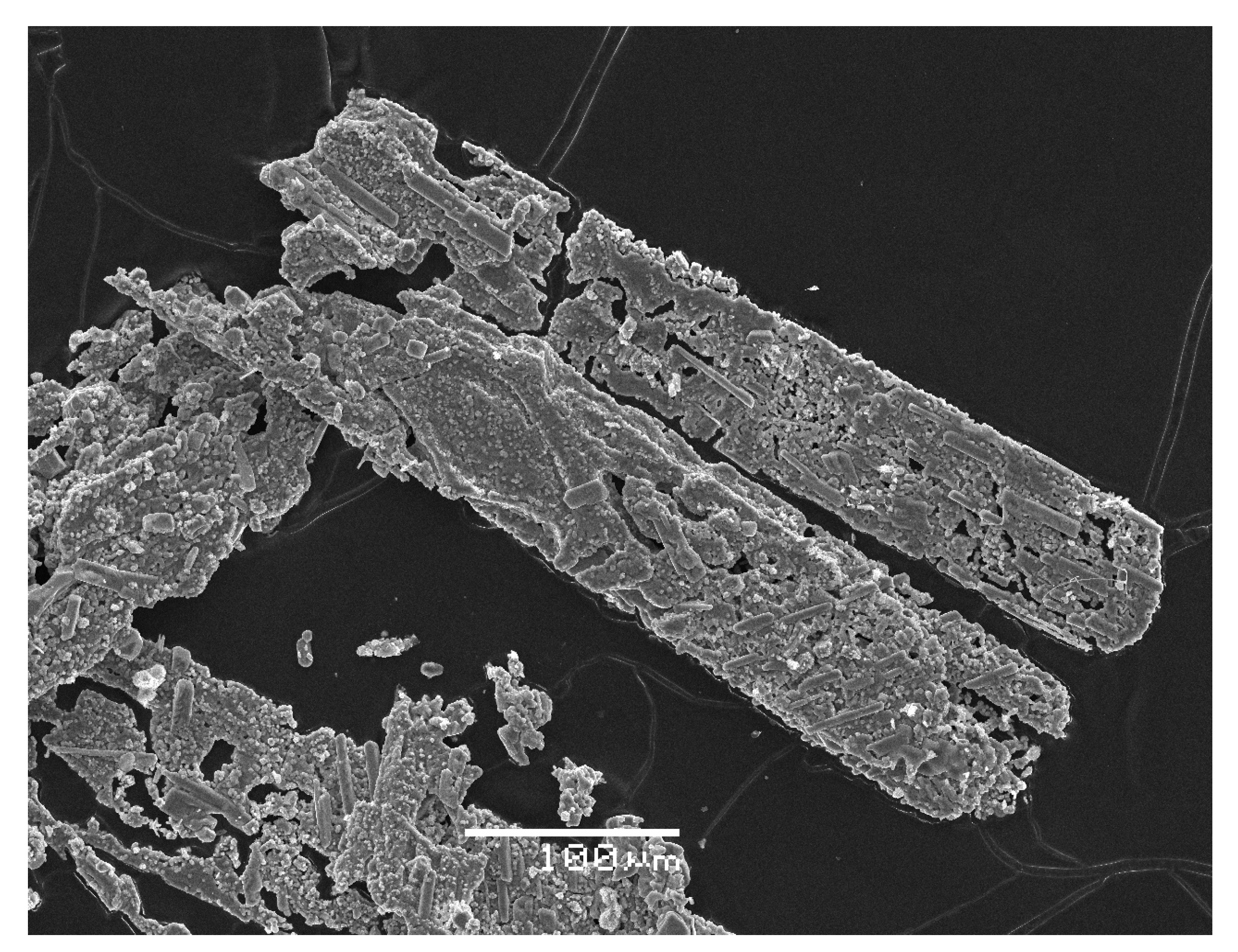 Minerals 15 00706 g008