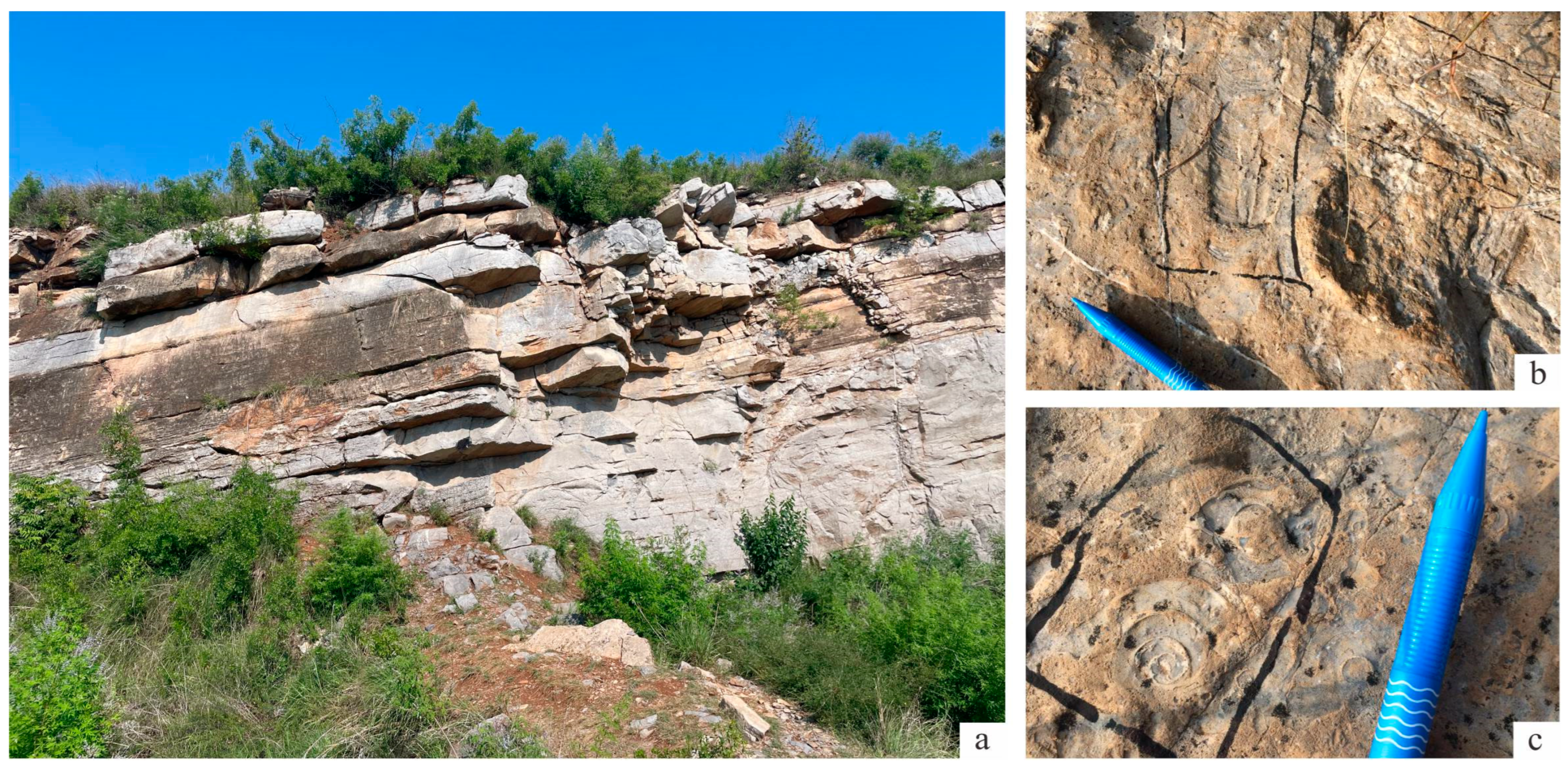 Minerals 15 00717 g002