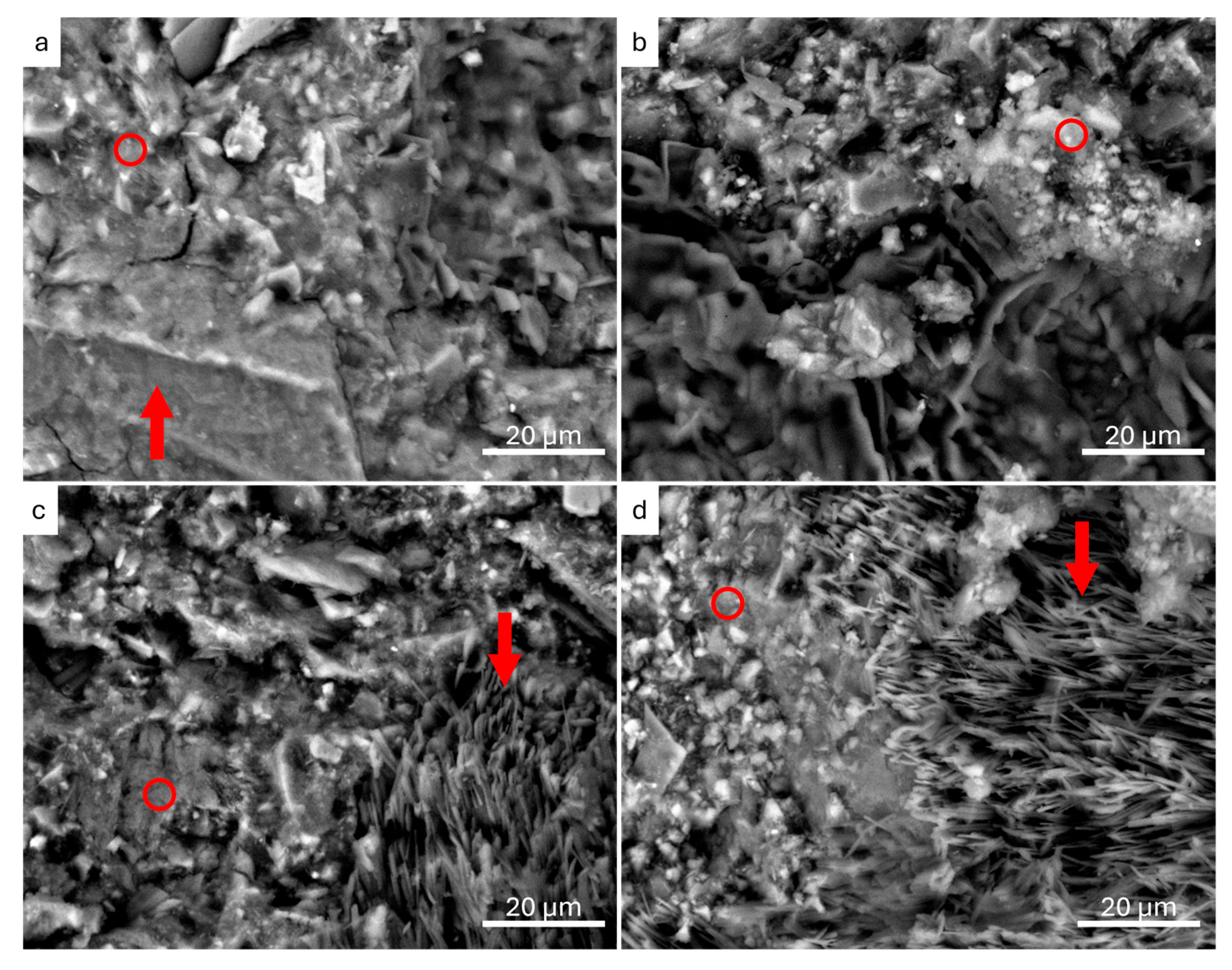 Minerals 15 00718 g005