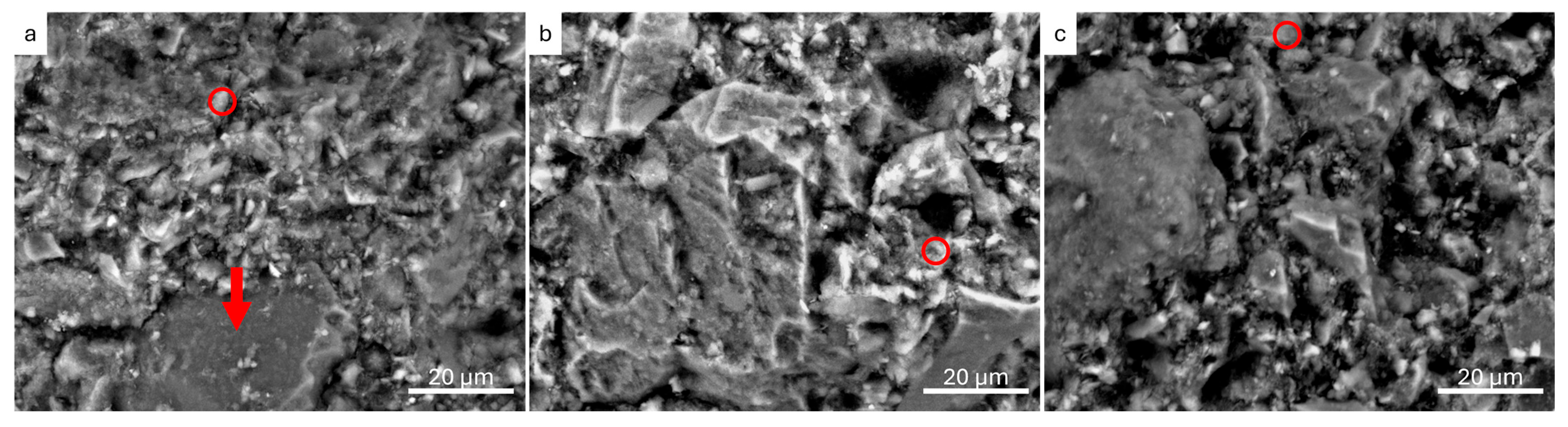 Minerals 15 00718 g006